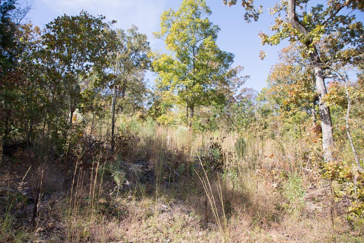 Stone Creek Phase I Tract 149 photo 9