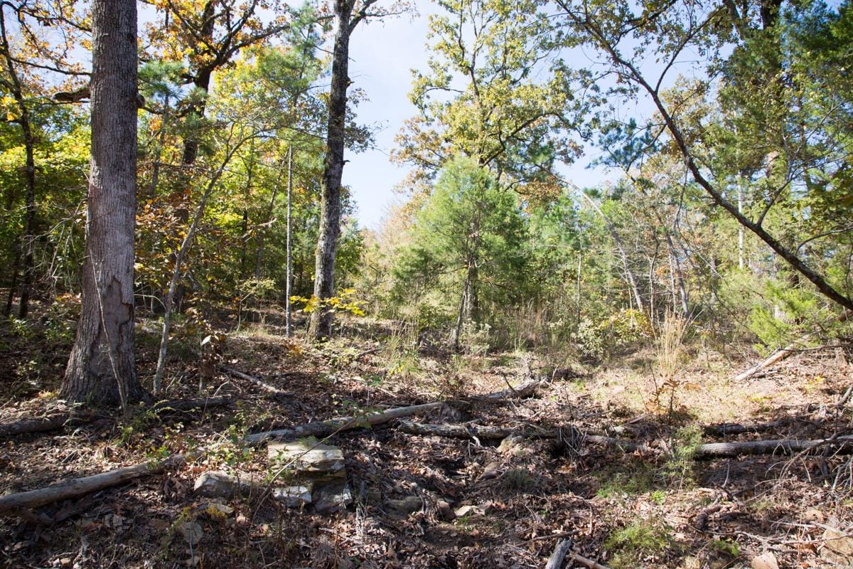 Stone Creek Phase I Tract 149 photo 10