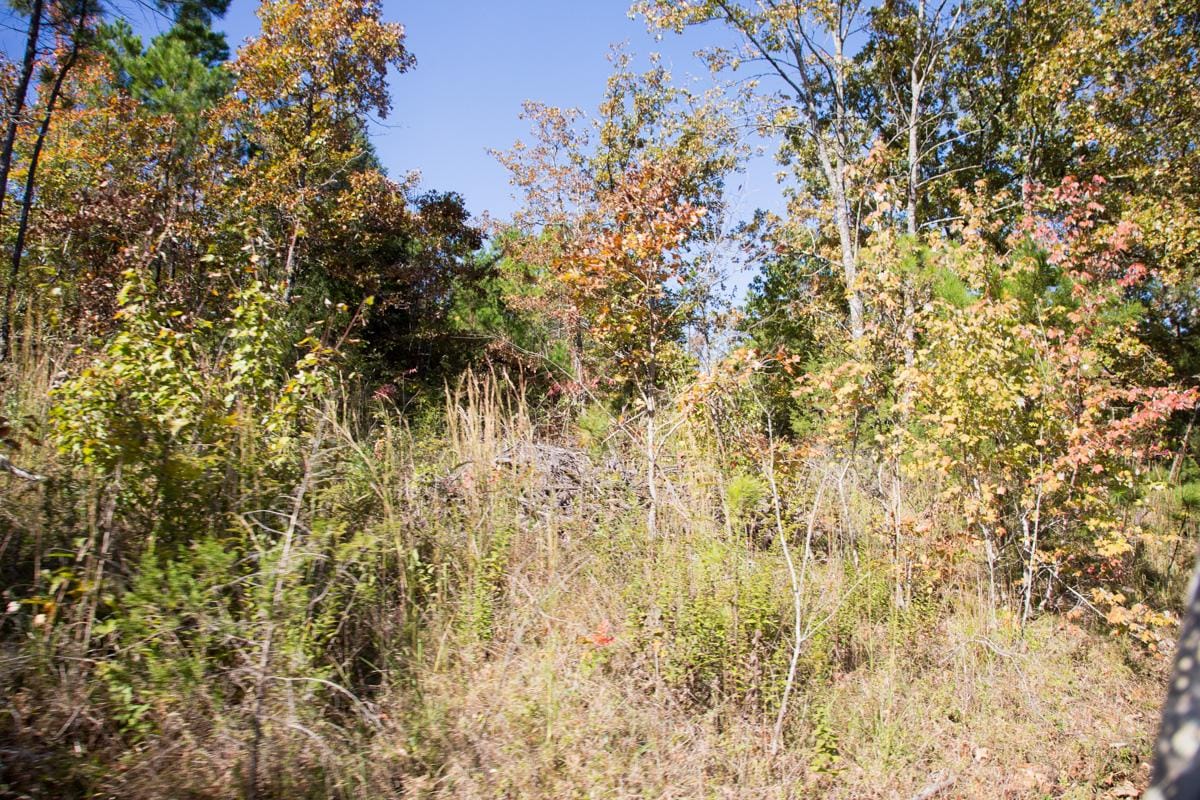 Stone Creek Phase I Tract 149 photo 11