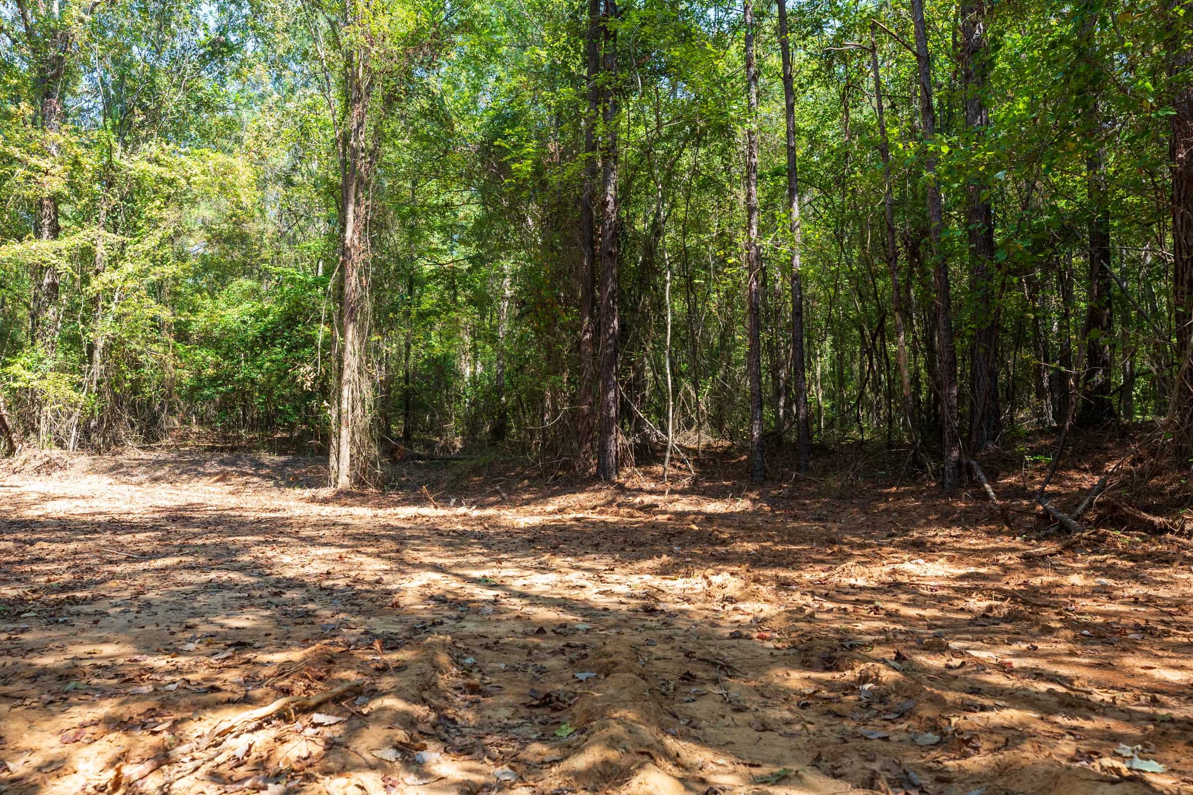 Willow Grove Tract 14 photo 1
