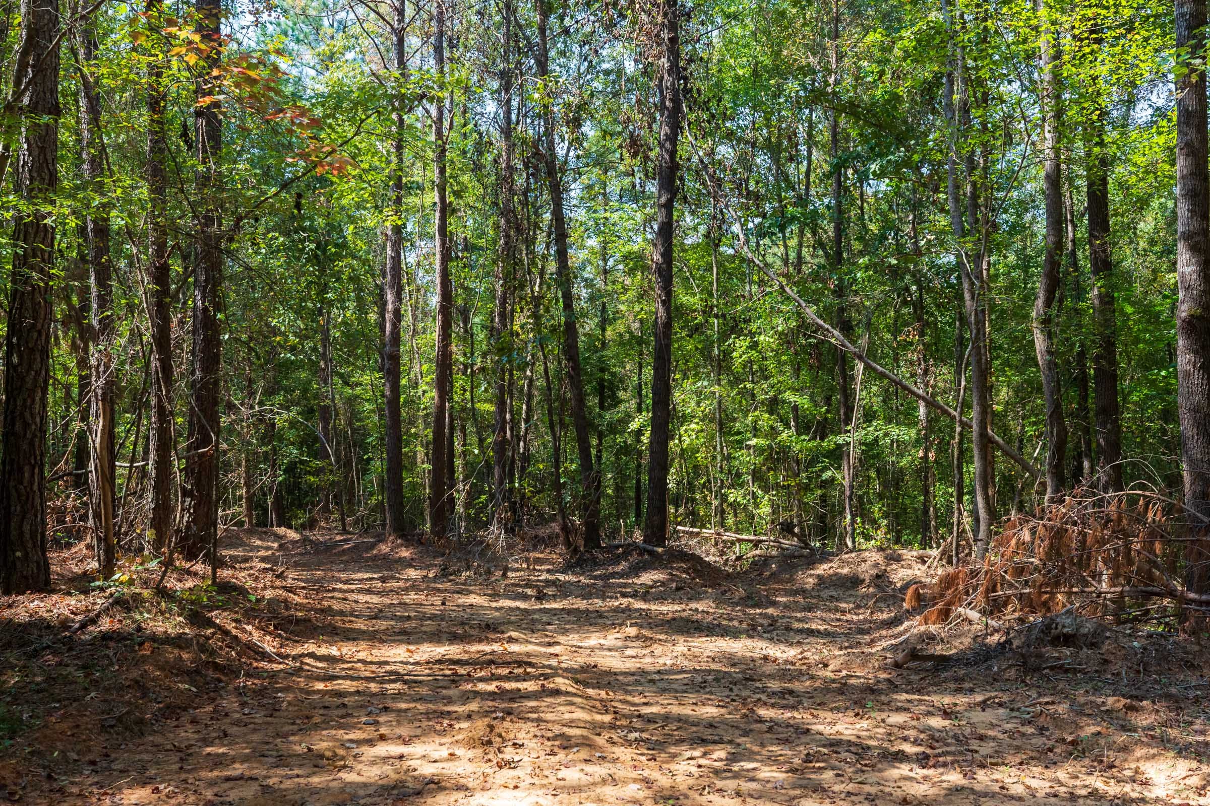 Willow Grove Tract 14 photo 4