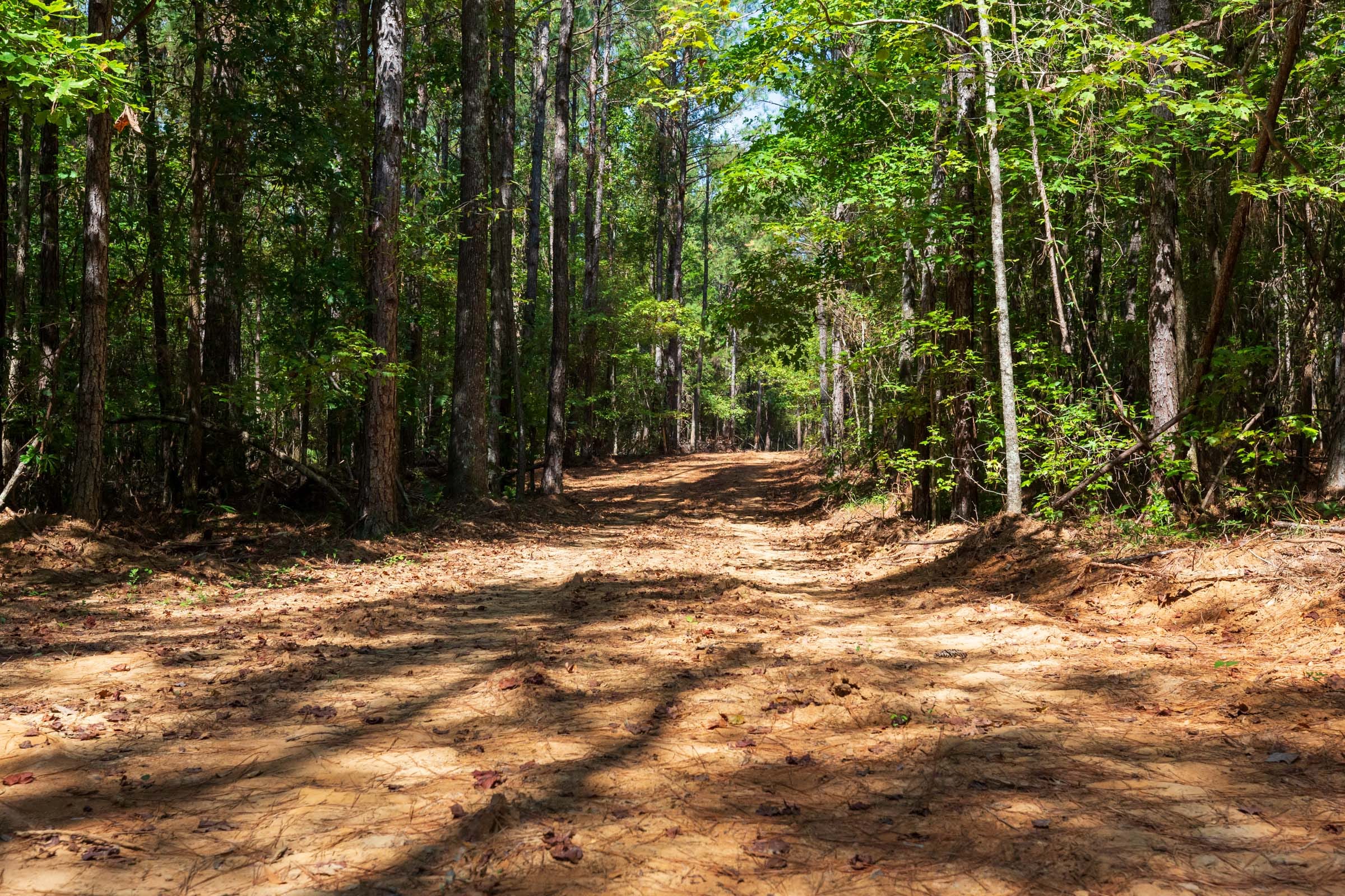 Willow Grove Tract 14 photo 8