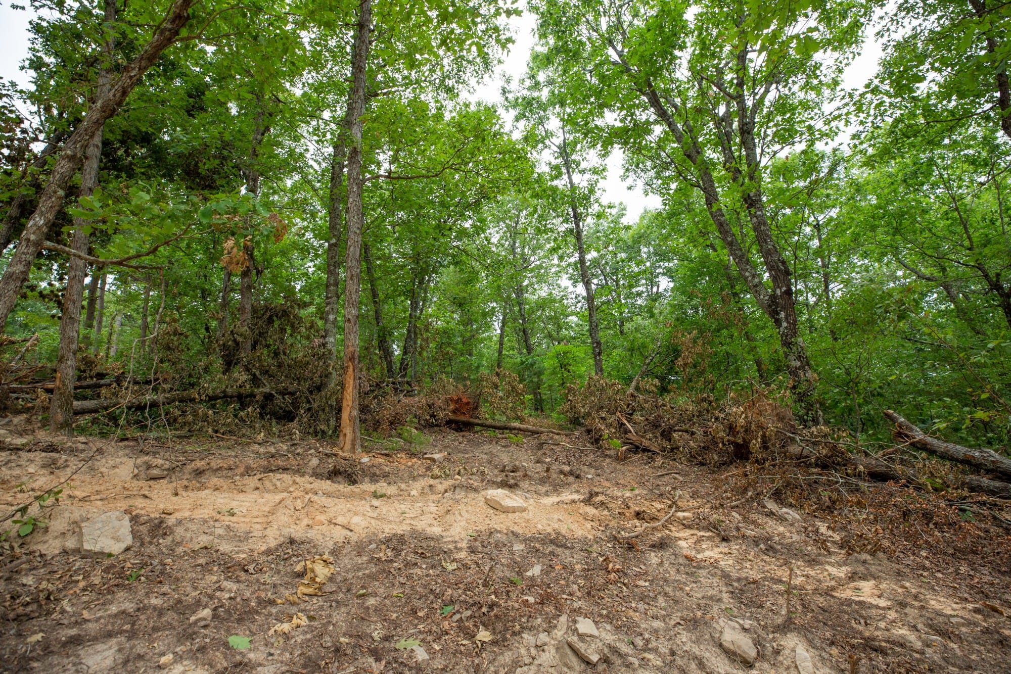 Eagle’s Nest Tract 56 photo 2