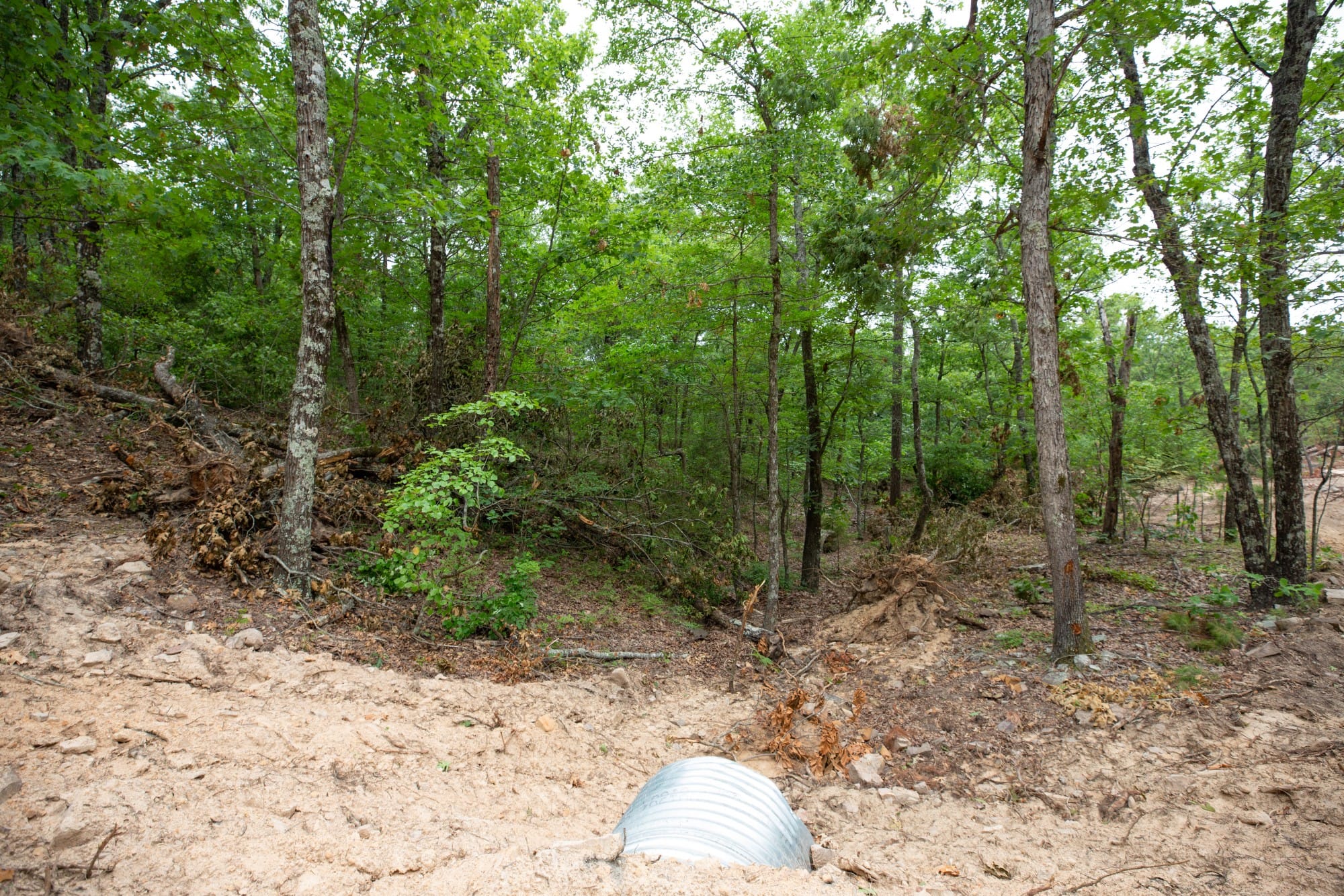 Eagle’s Nest Tract 56 photo 3