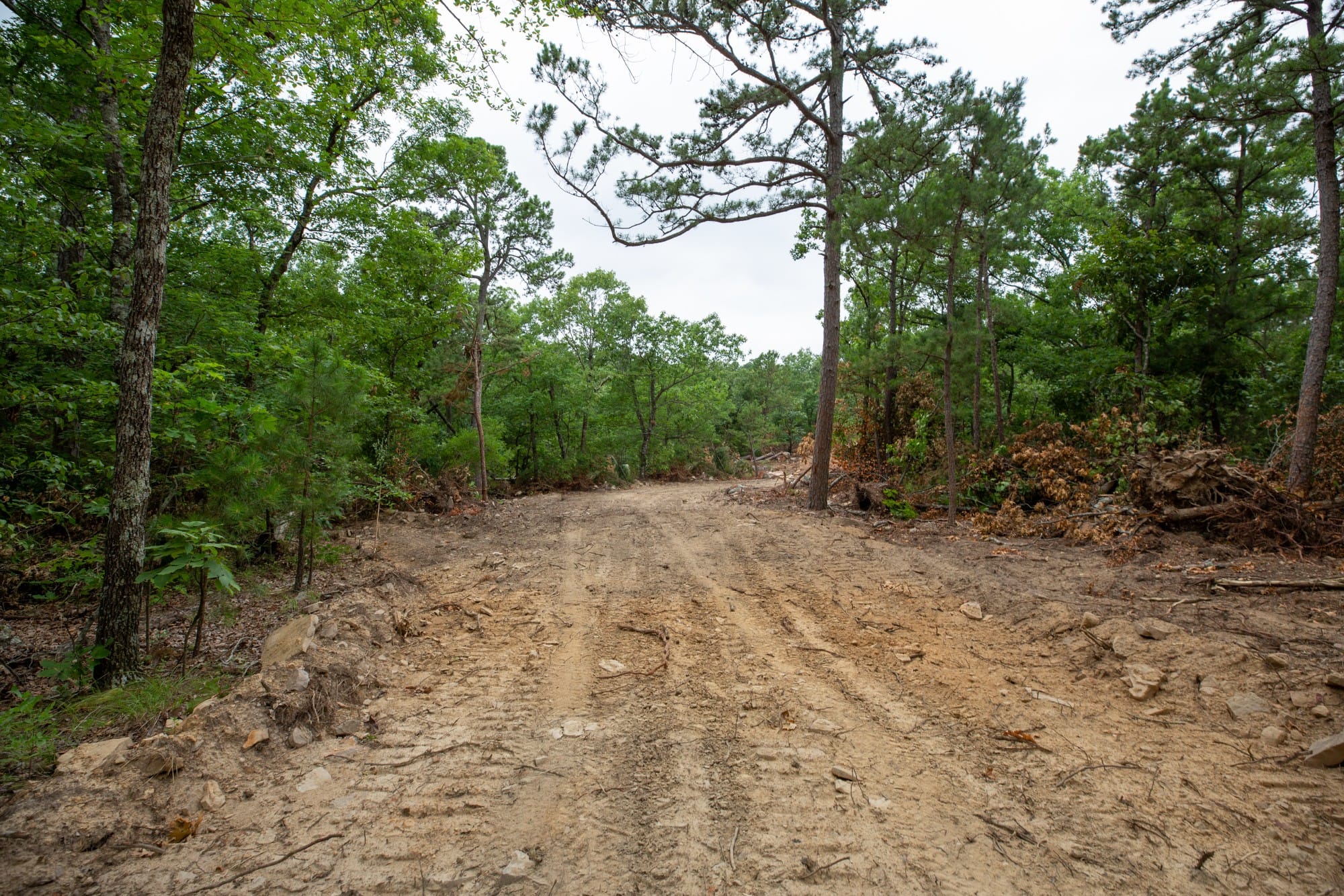 Eagle’s Nest Tract 56 photo 10