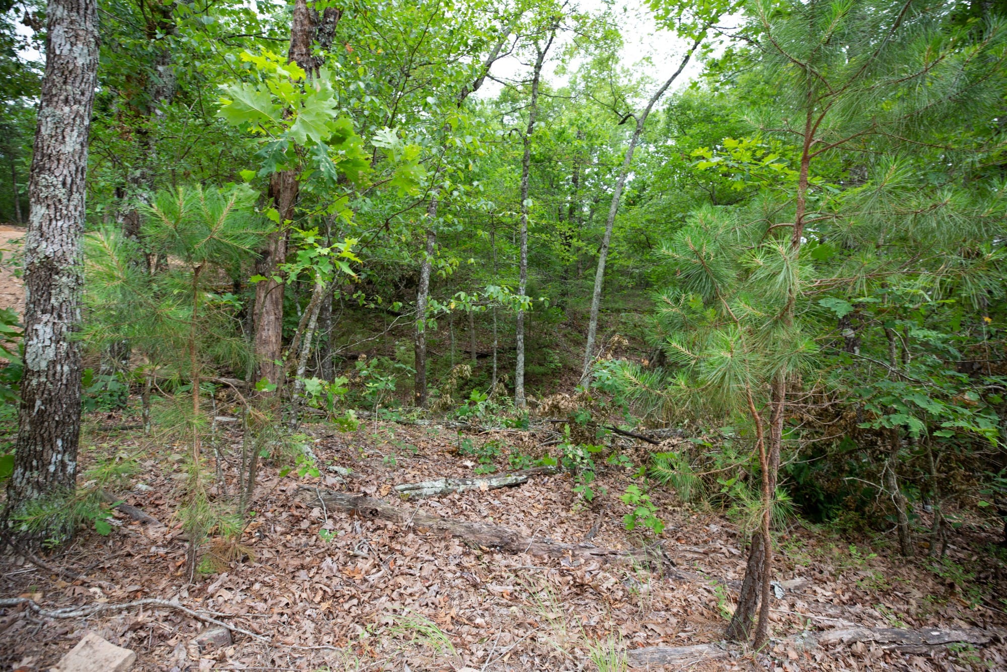 Eagle’s Nest Tract 56 photo 7