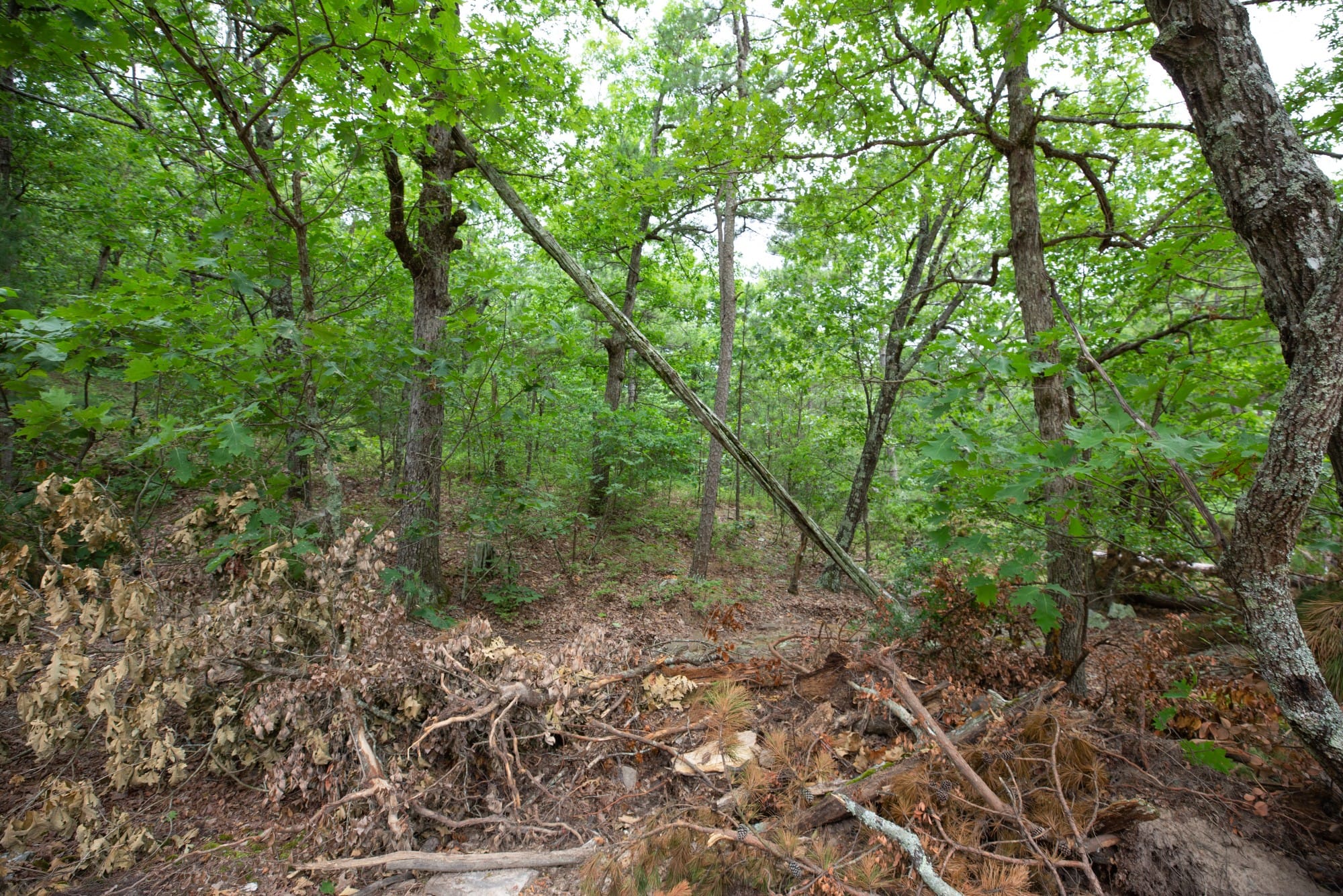 Eagle’s Nest Tract 56 photo 8