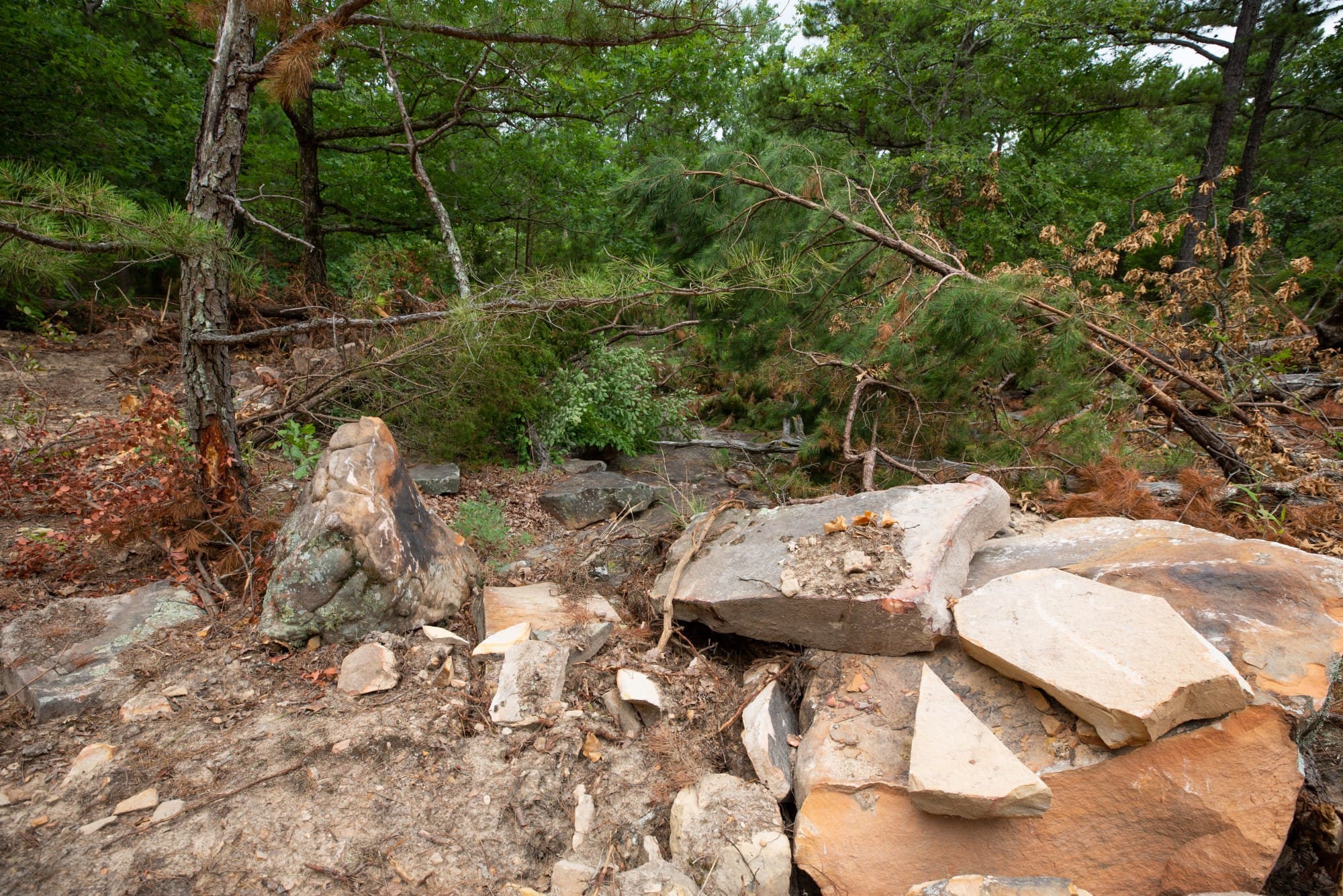 Eagle’s Nest Tract 56 photo 11