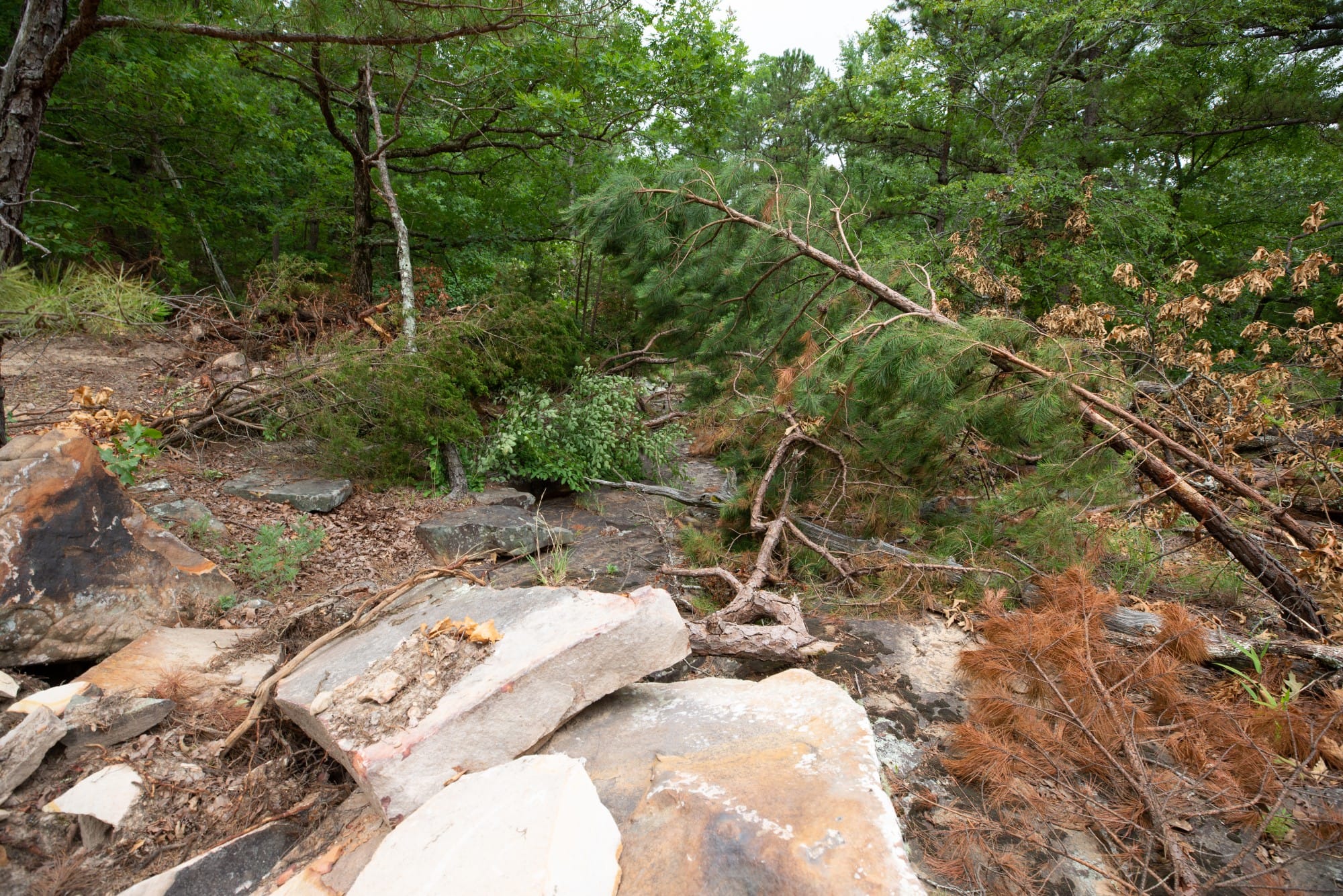 Eagle’s Nest Tract 56 photo 12