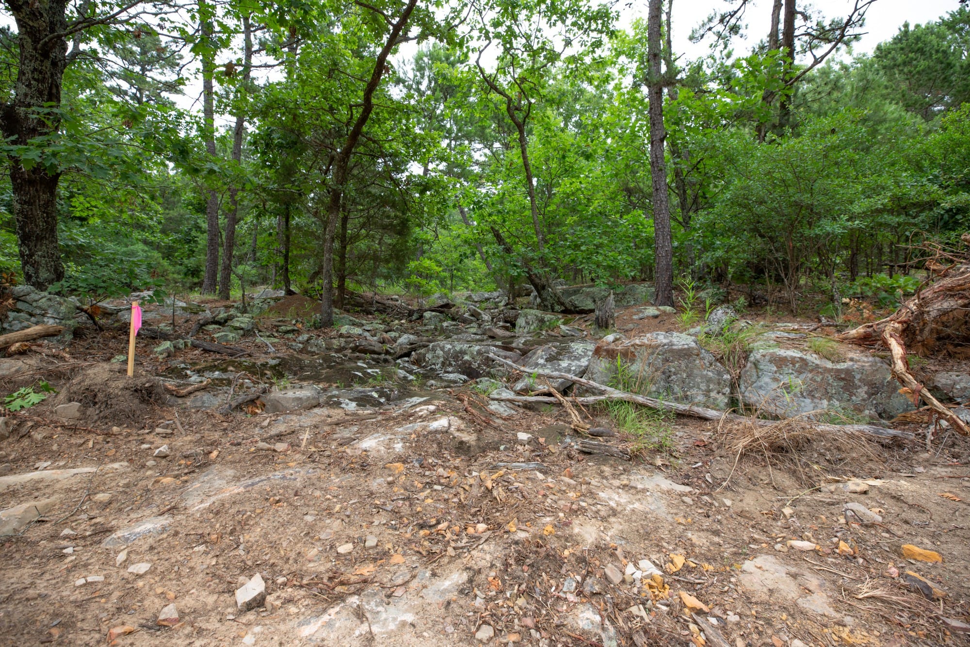 Eagle’s Nest Tract 56 photo 13