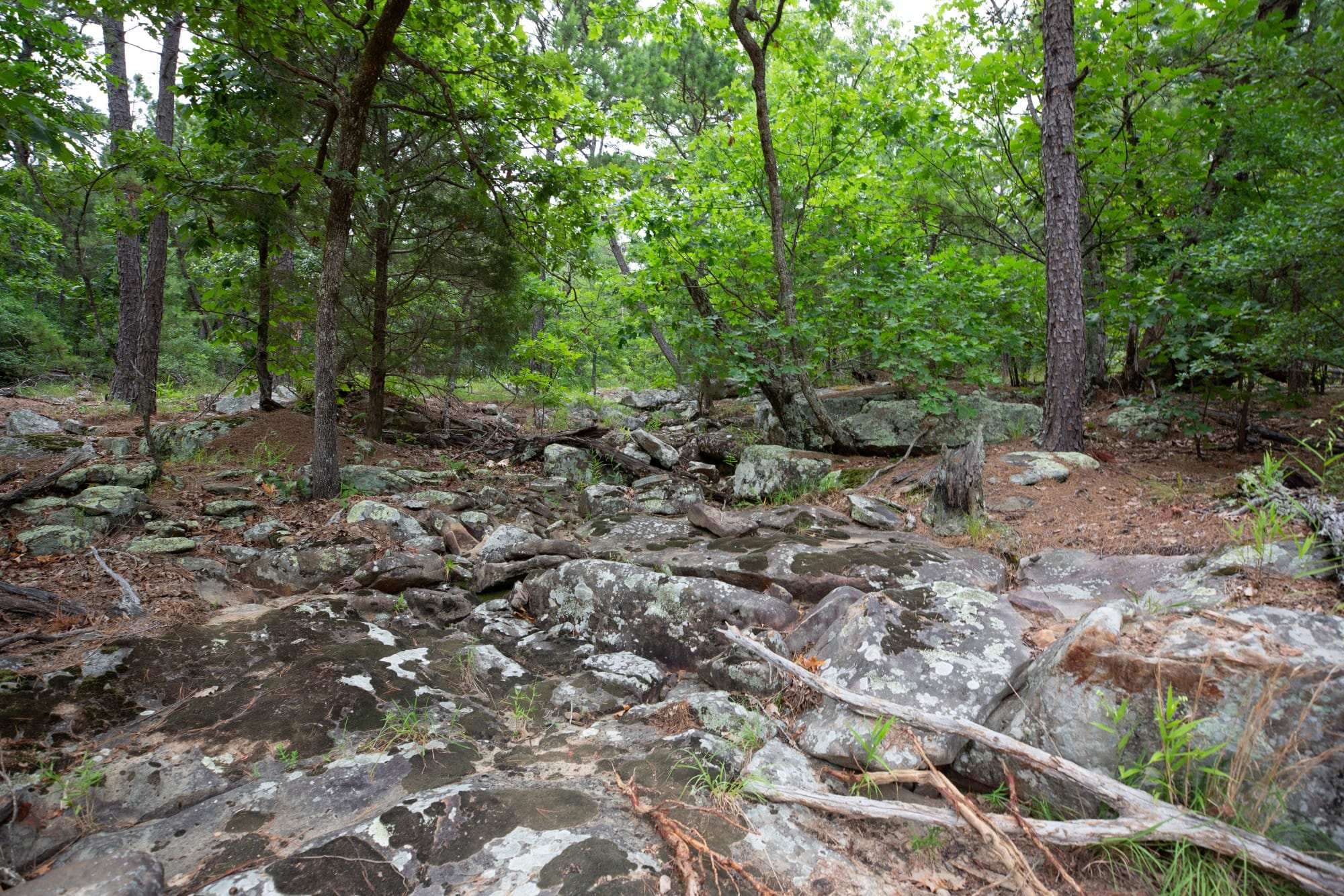 Eagle’s Nest Tract 56 photo 14