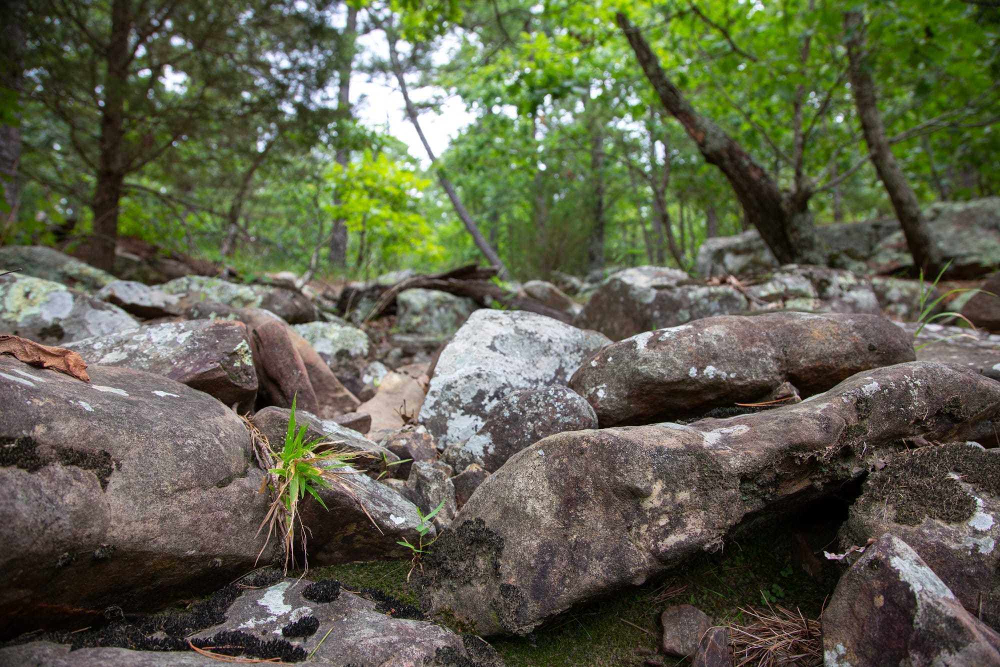 Eagle’s Nest Tract 56 photo 15
