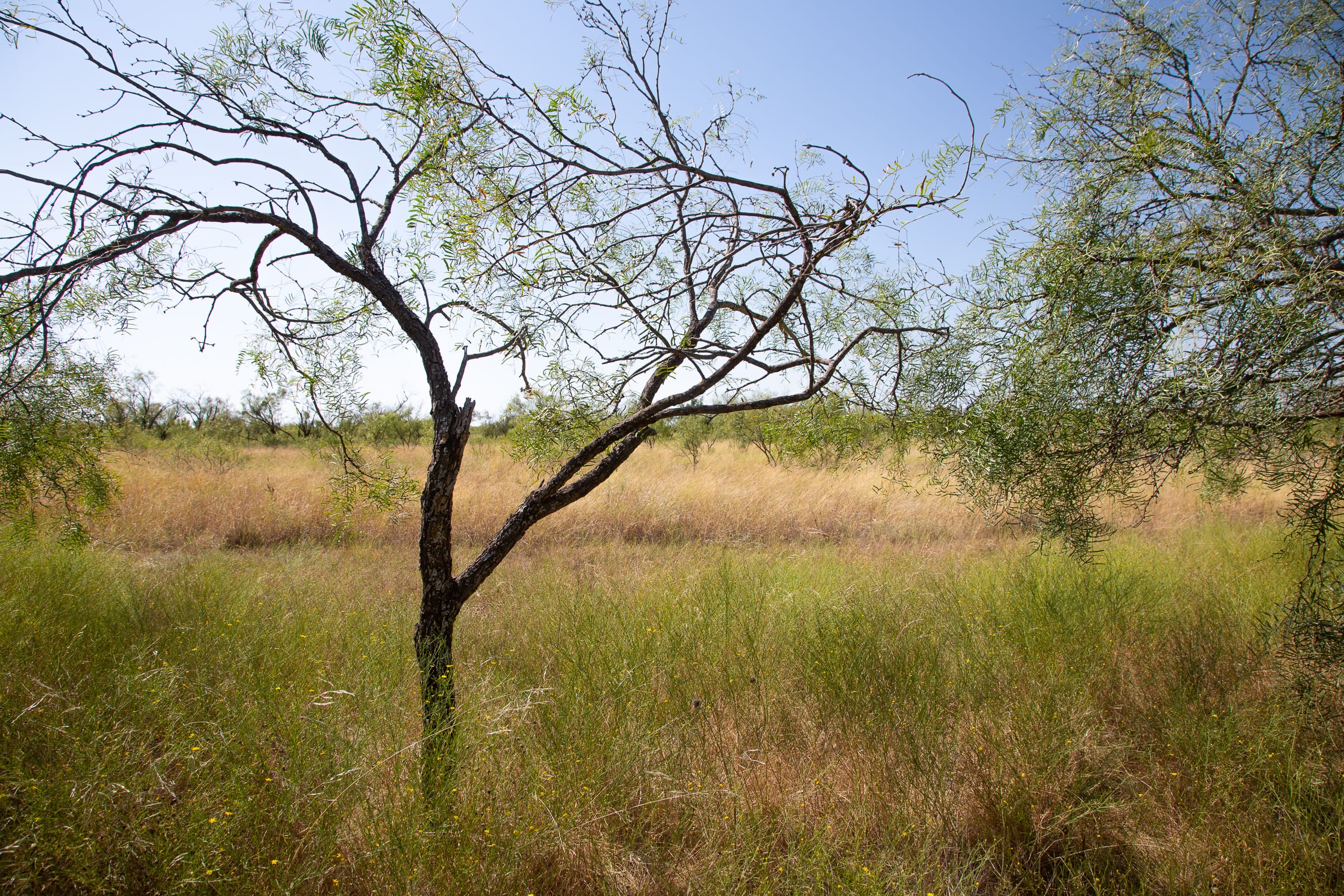 Hunter’s Ranch Tract 5 photo 2