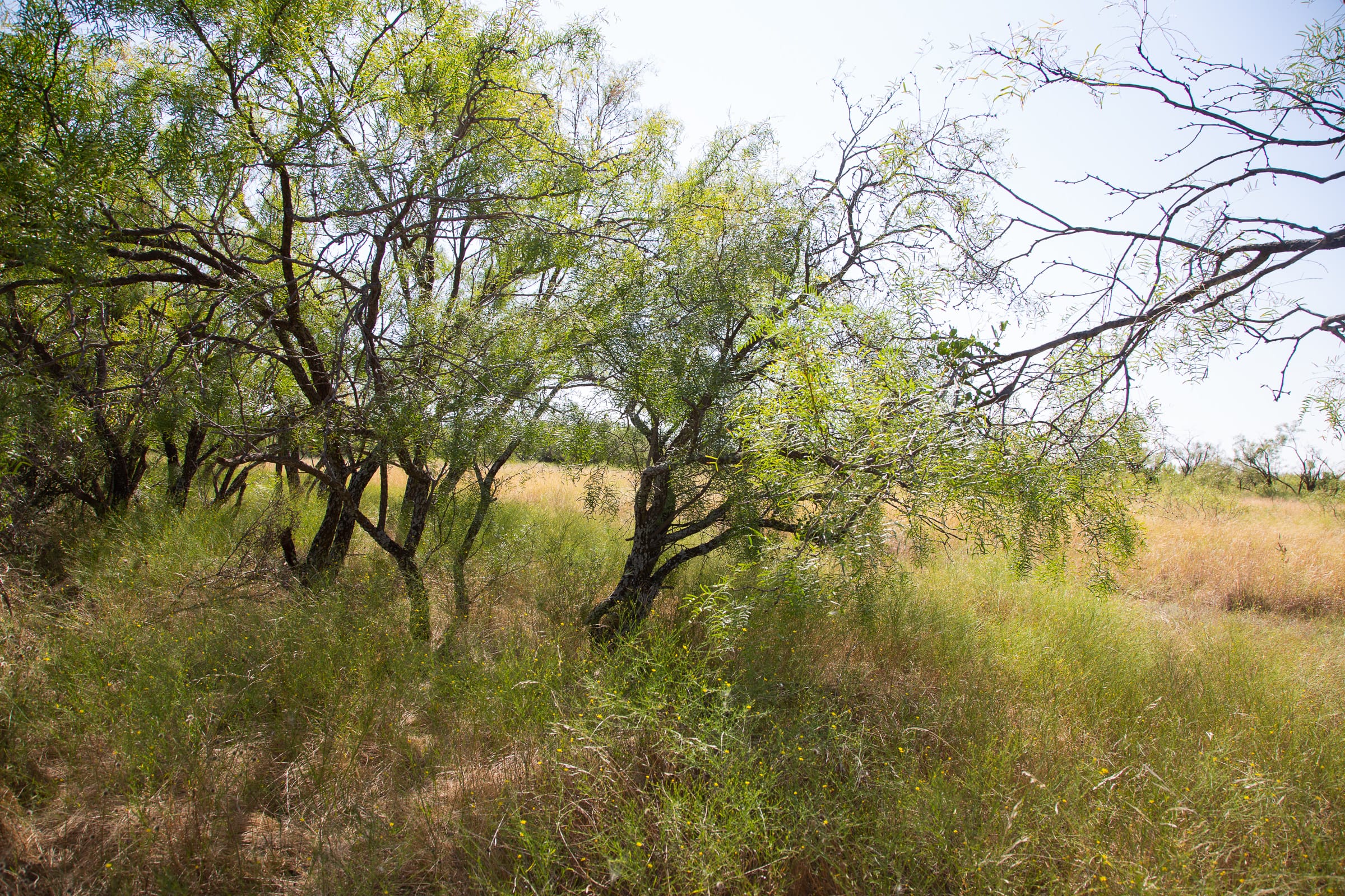 Hunter’s Ranch Tract 5 photo 3
