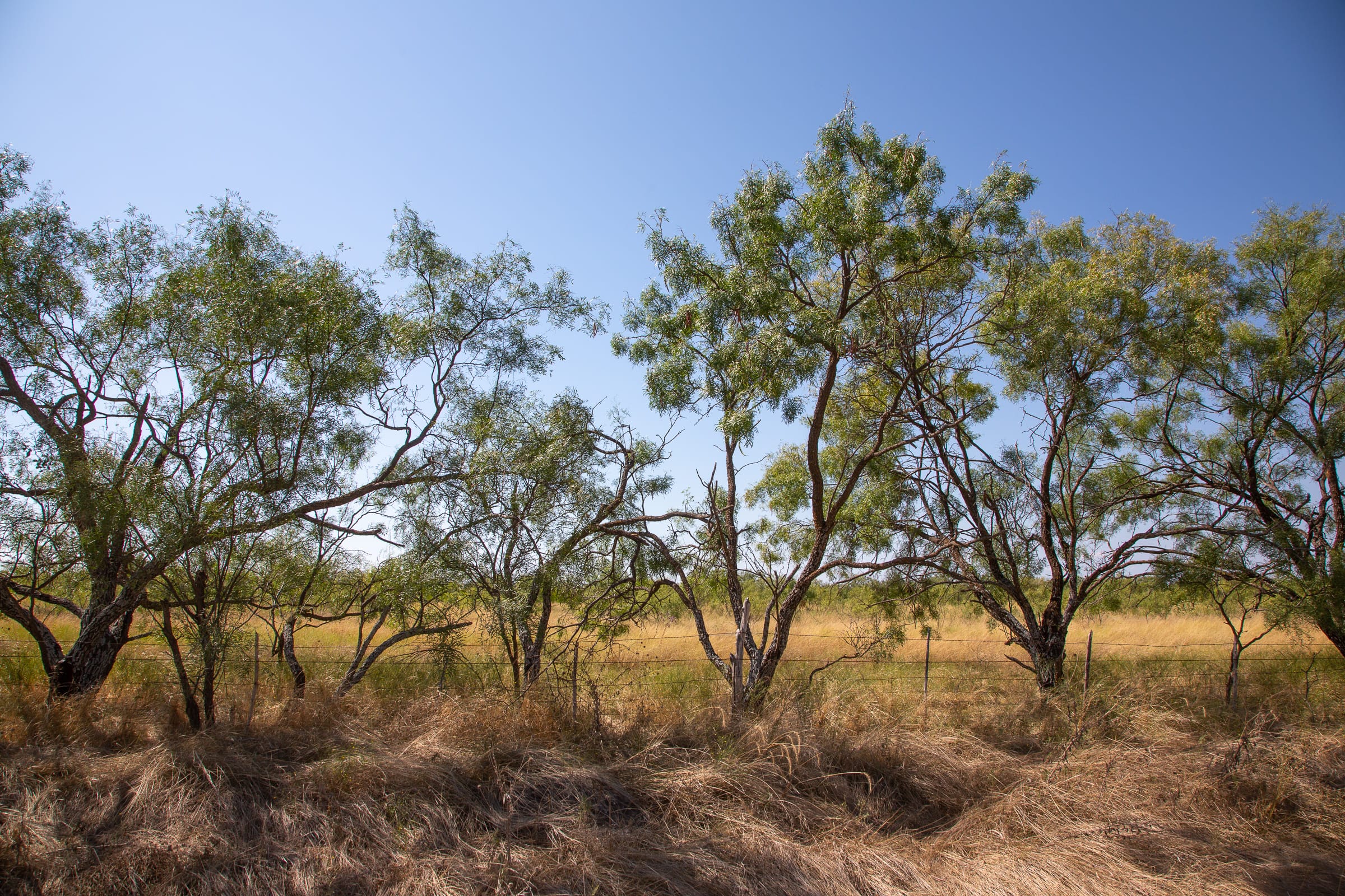 Hunter’s Ranch Tract 5 photo 6