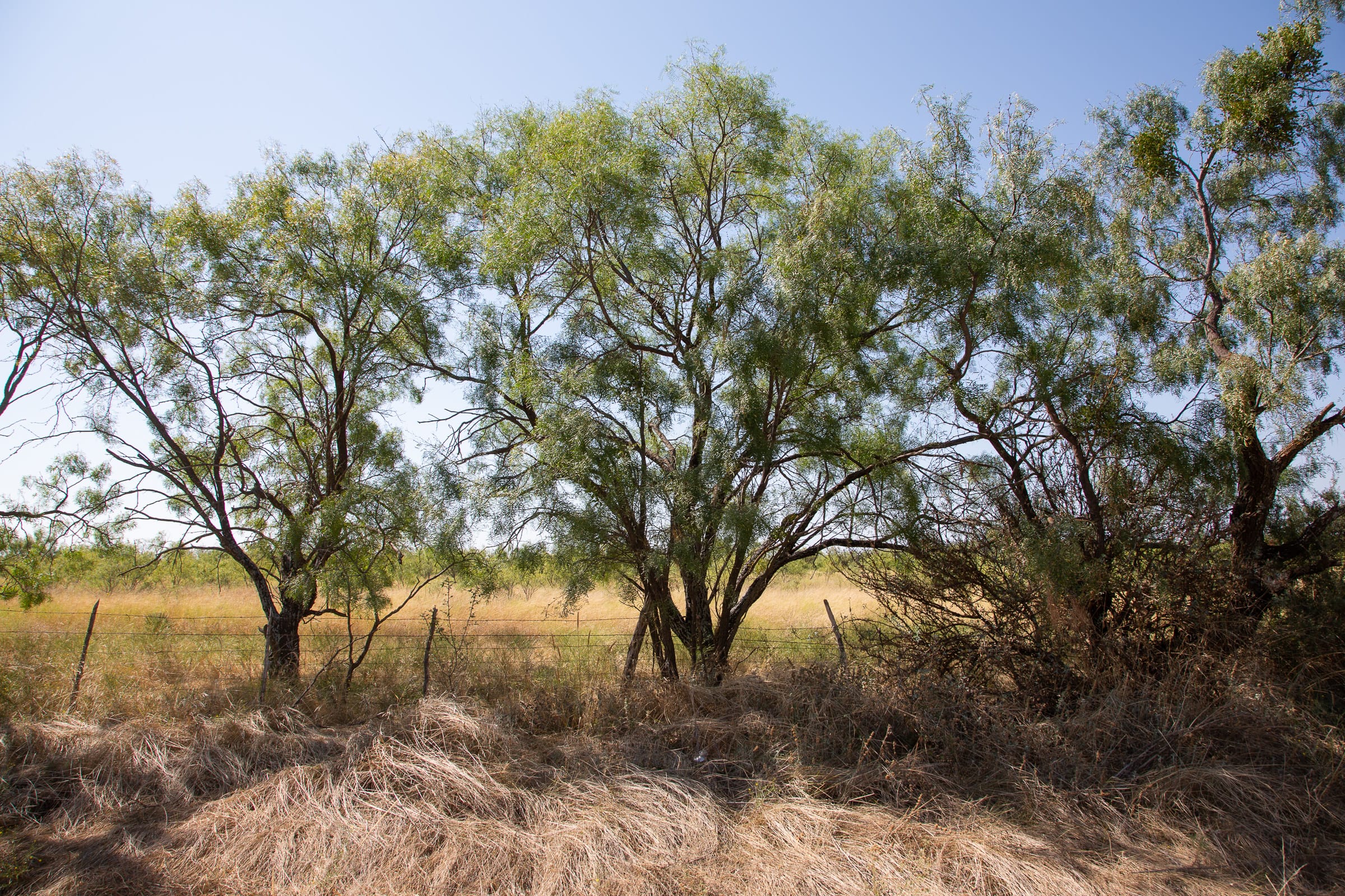 Hunter’s Ranch Tract 5 photo 7