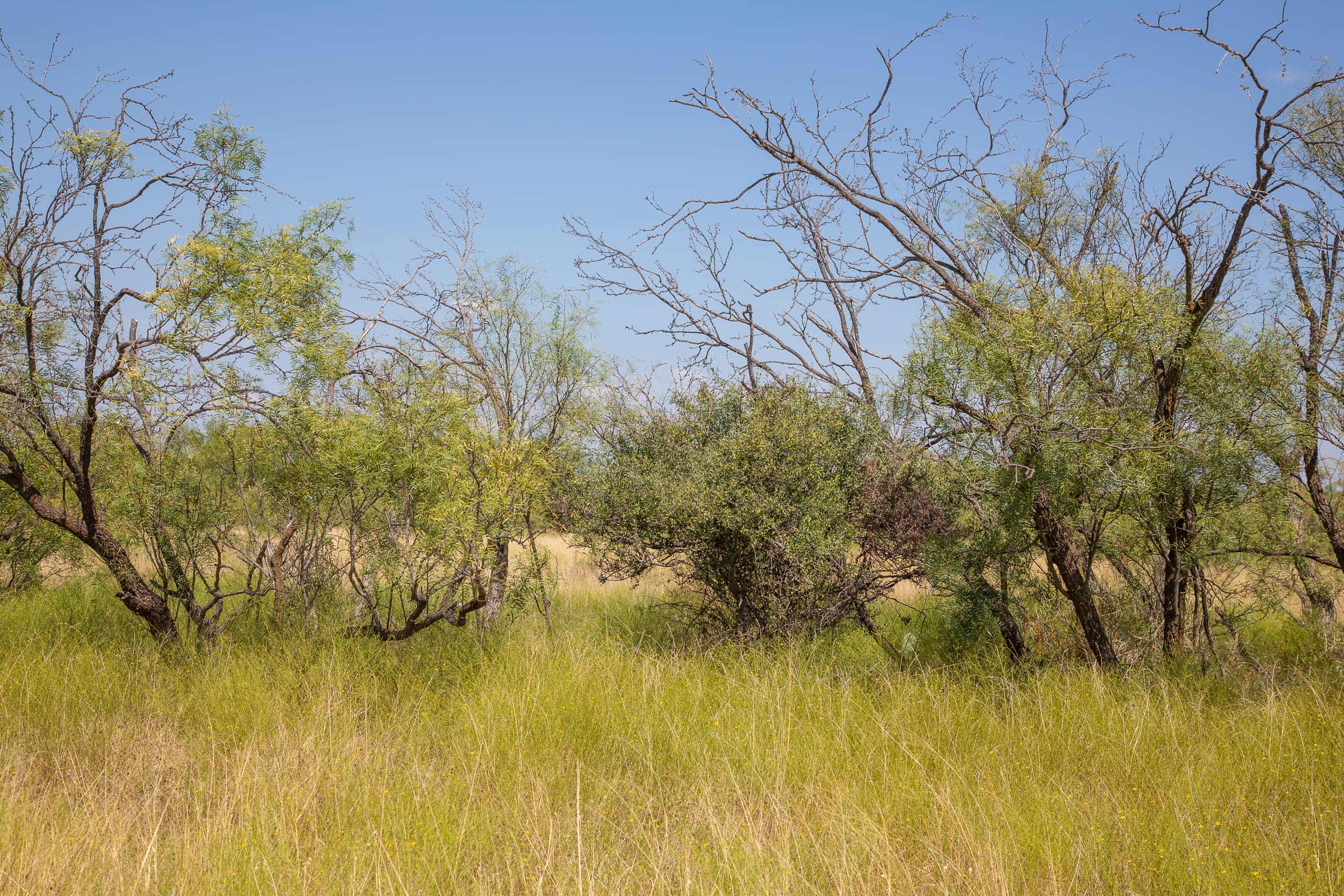 Hunter’s Ranch Tract 5 photo 9