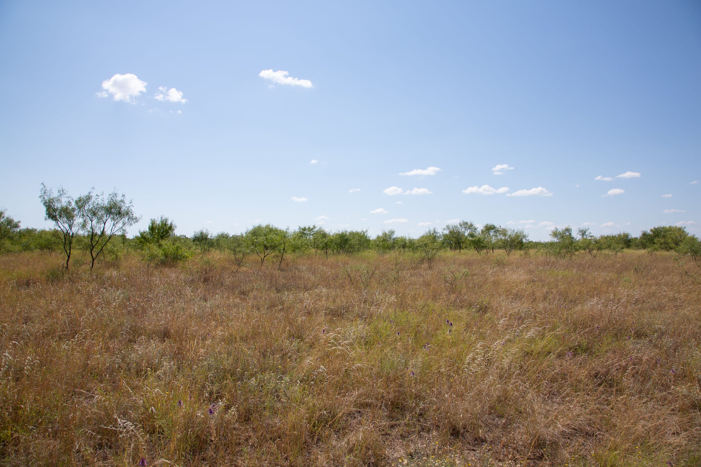 Hunter’s Ranch Tract 5 photo 10