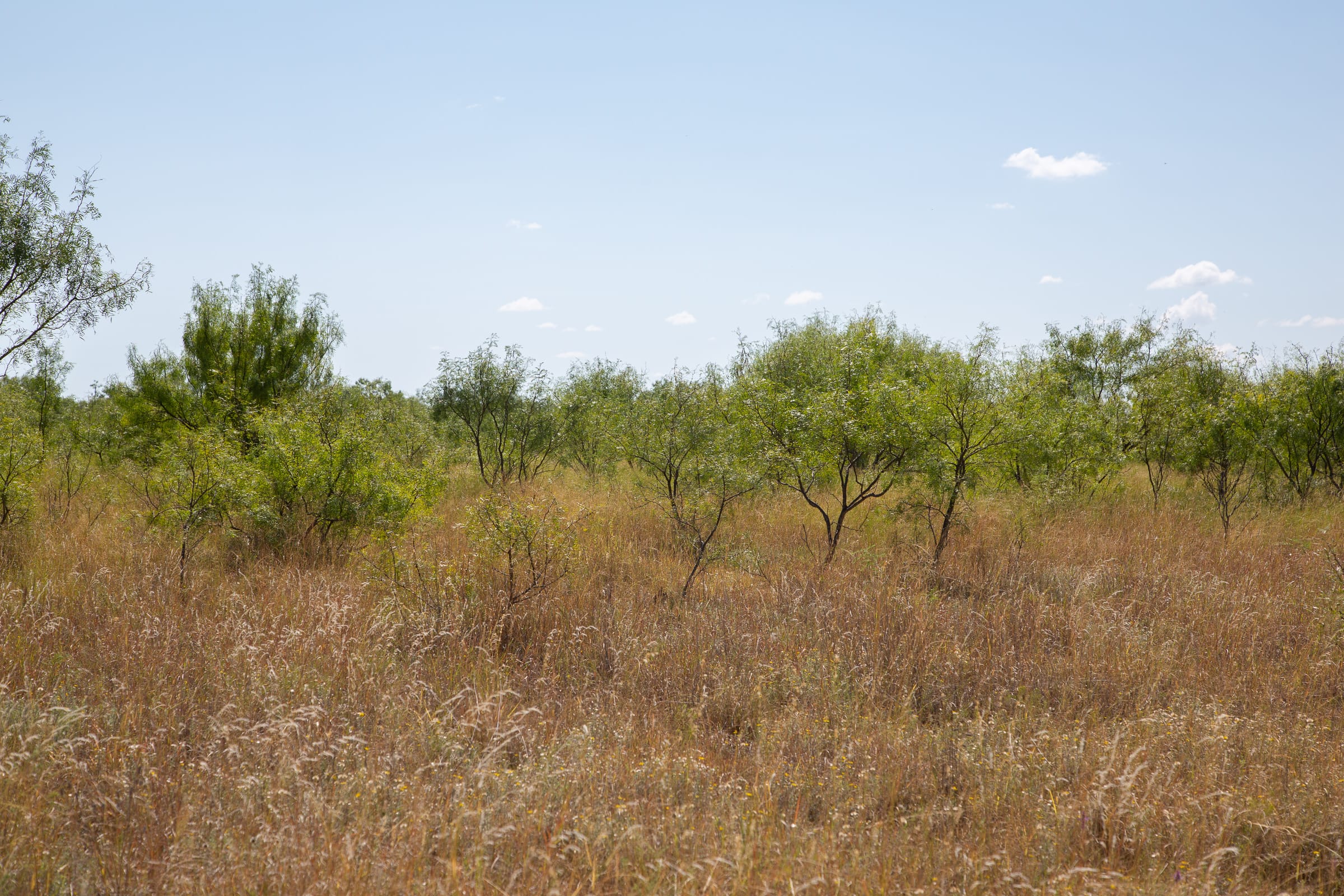 Hunter’s Ranch Tract 5 photo 11