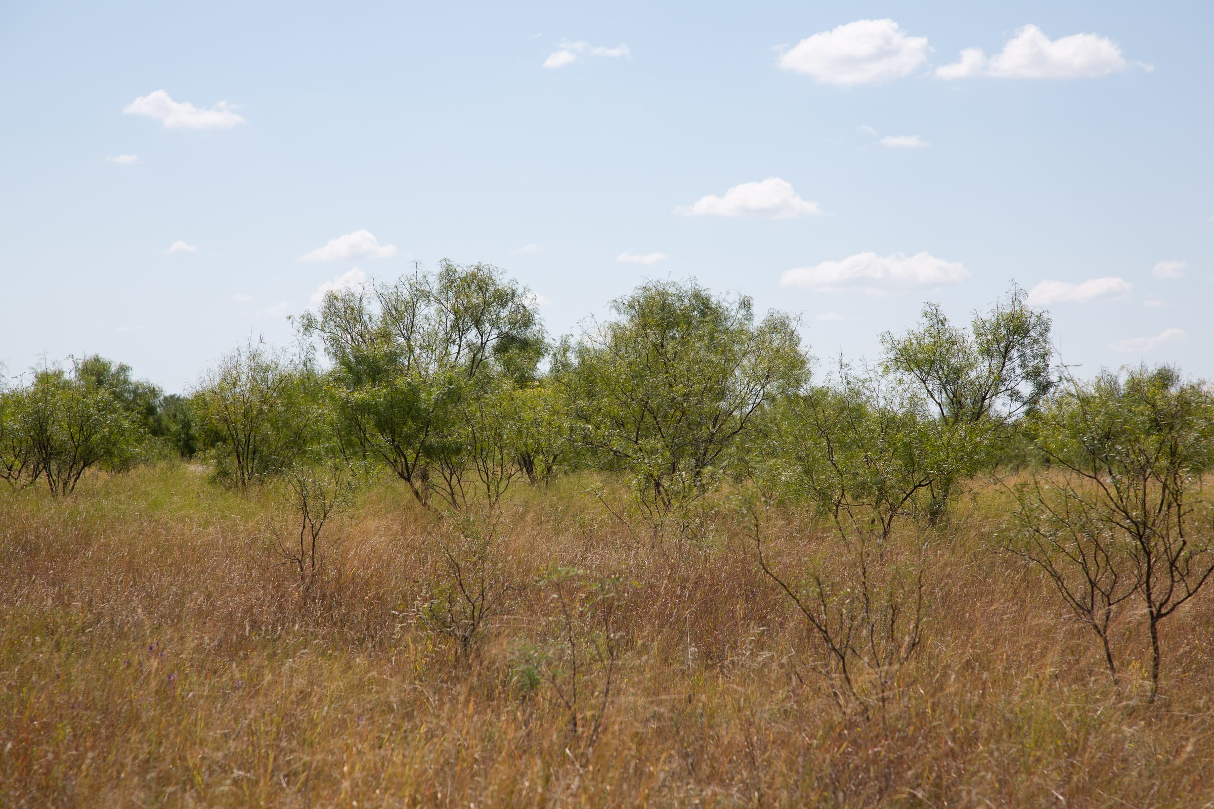 Hunter’s Ranch Tract 5 photo 12