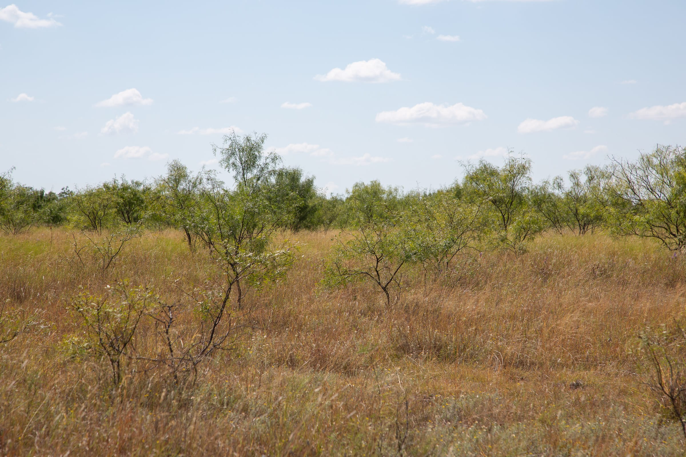Hunter’s Ranch Tract 5 photo 13