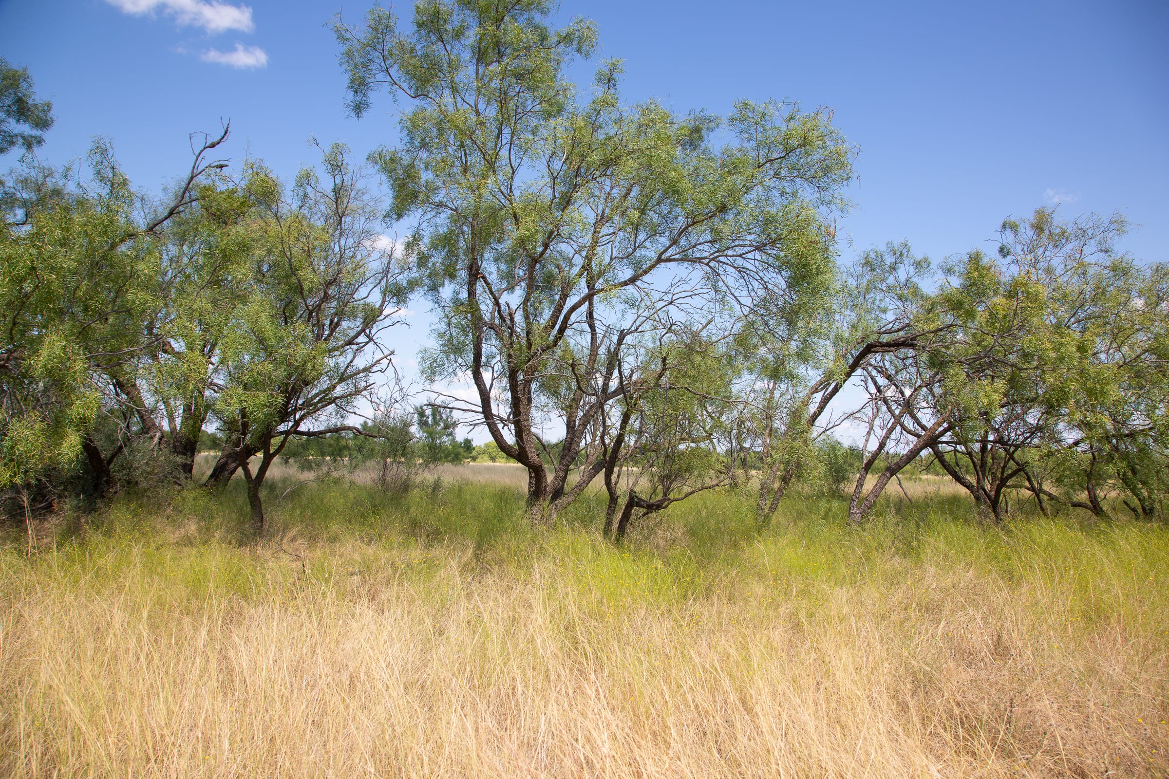 Hunter’s Ranch Tract 5 photo 1