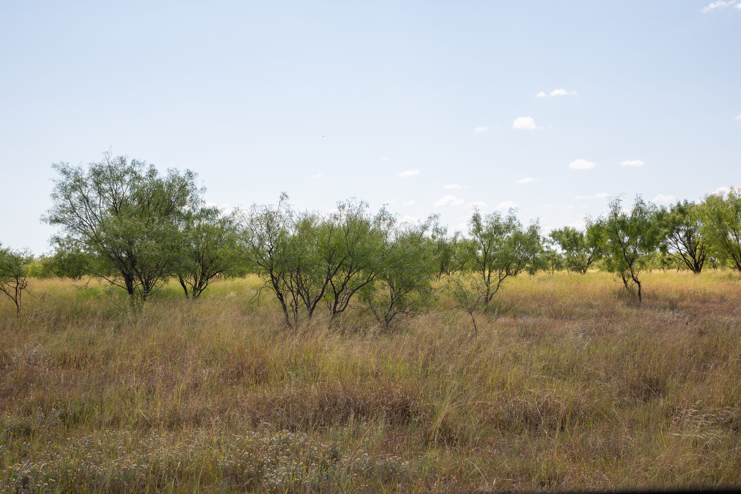 Hunter’s Ranch Tract 5 photo 16