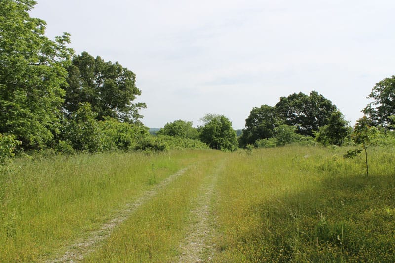 Cedar Ridge Ranch Tract 9 photo 1
