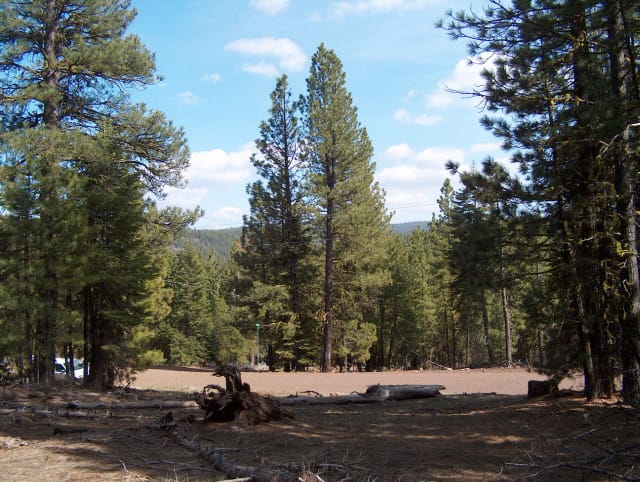 California Pines Tract 3 photo 2