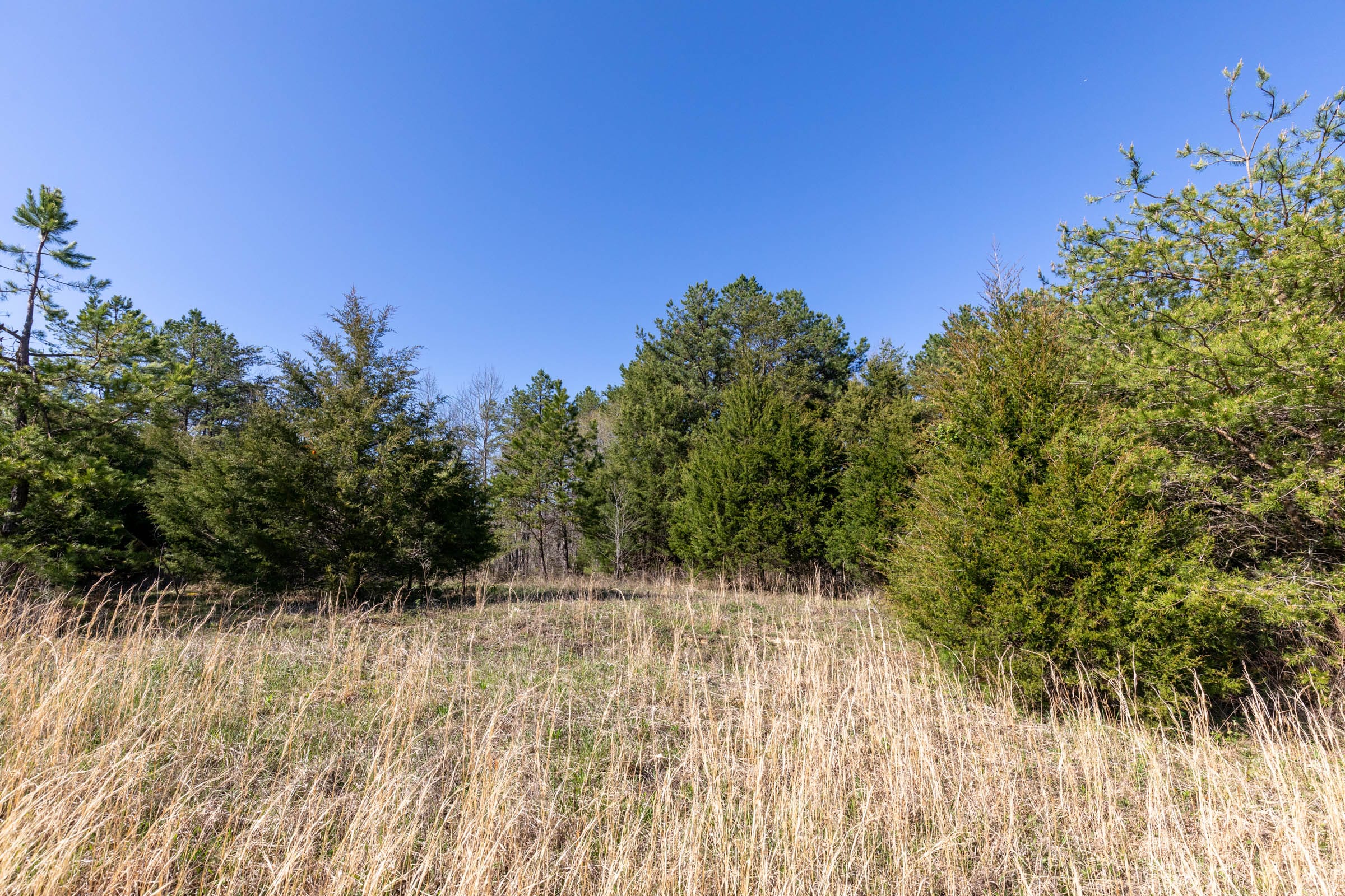 Woodland Heights Tract 17 photo 2