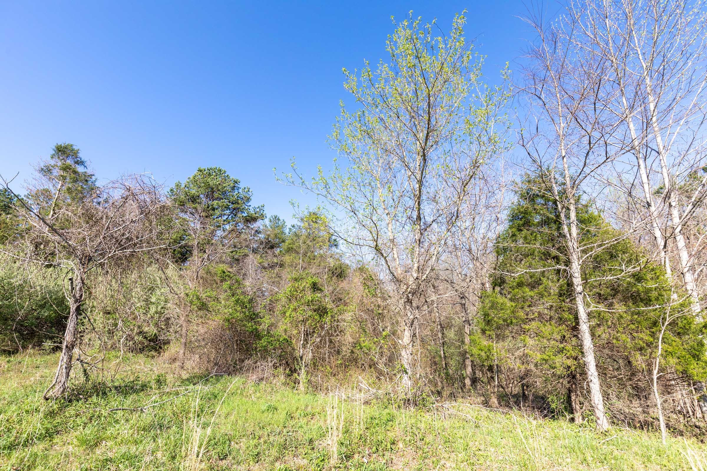 Woodland Heights Tract 17 photo 3