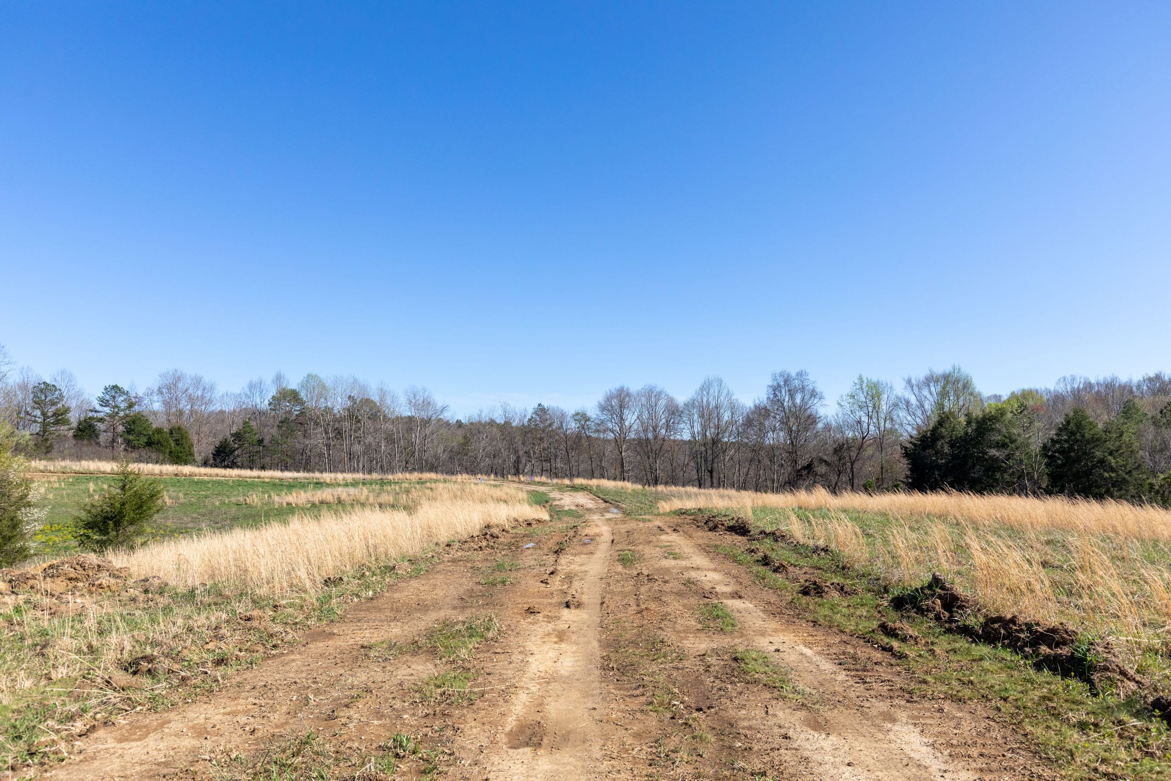 Woodland Heights Tract 17 photo 4