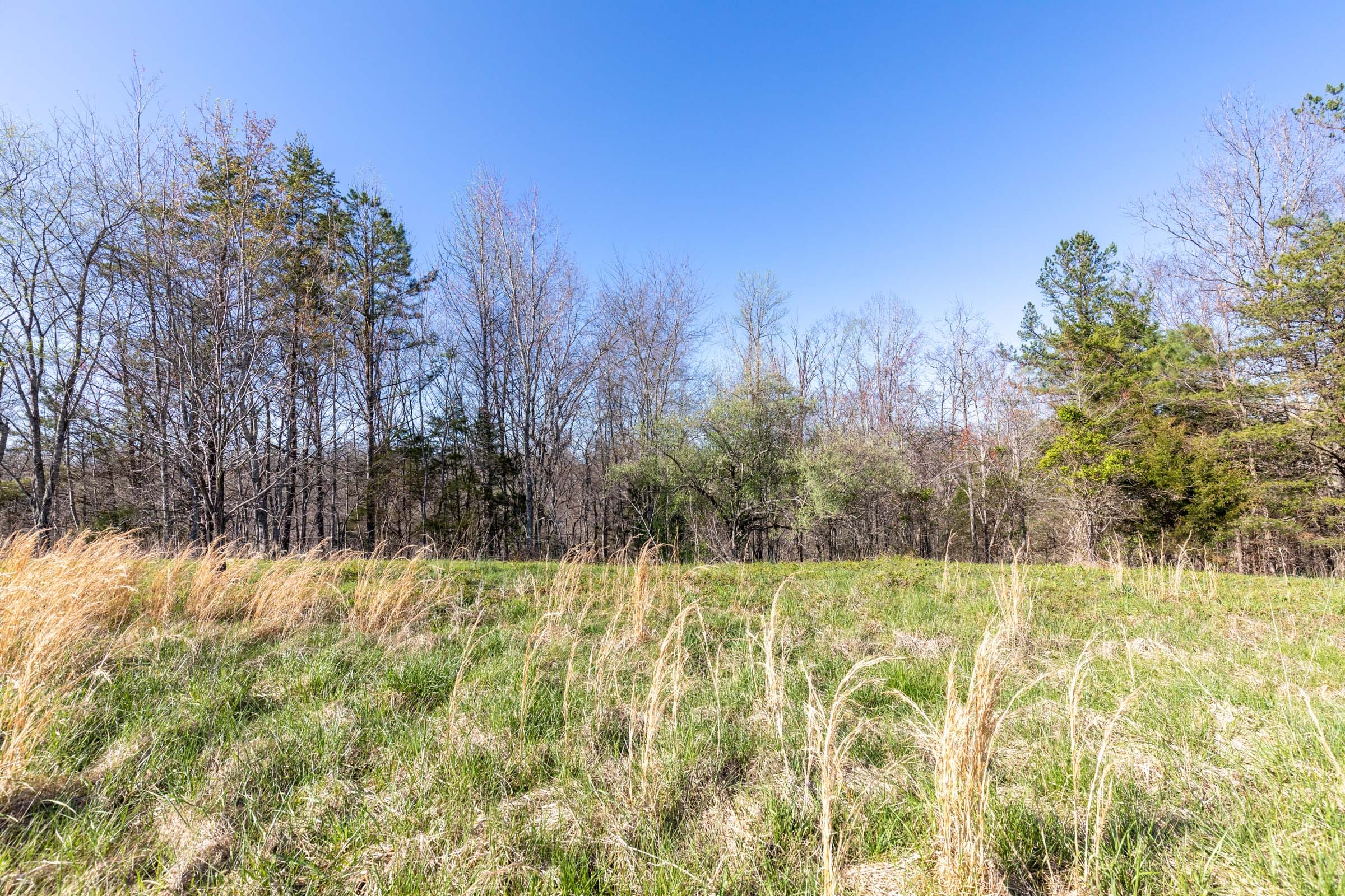 Woodland Heights Tract 17 photo 6