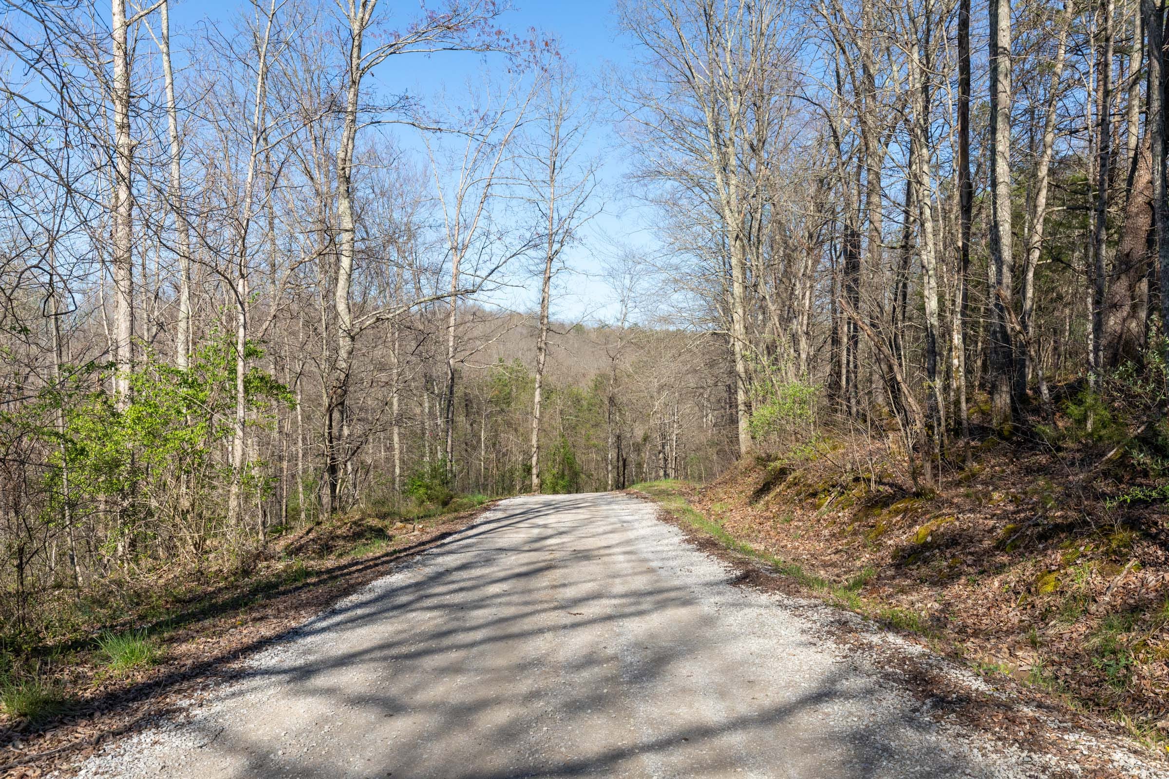 Woodland Heights Tract 17 photo 7