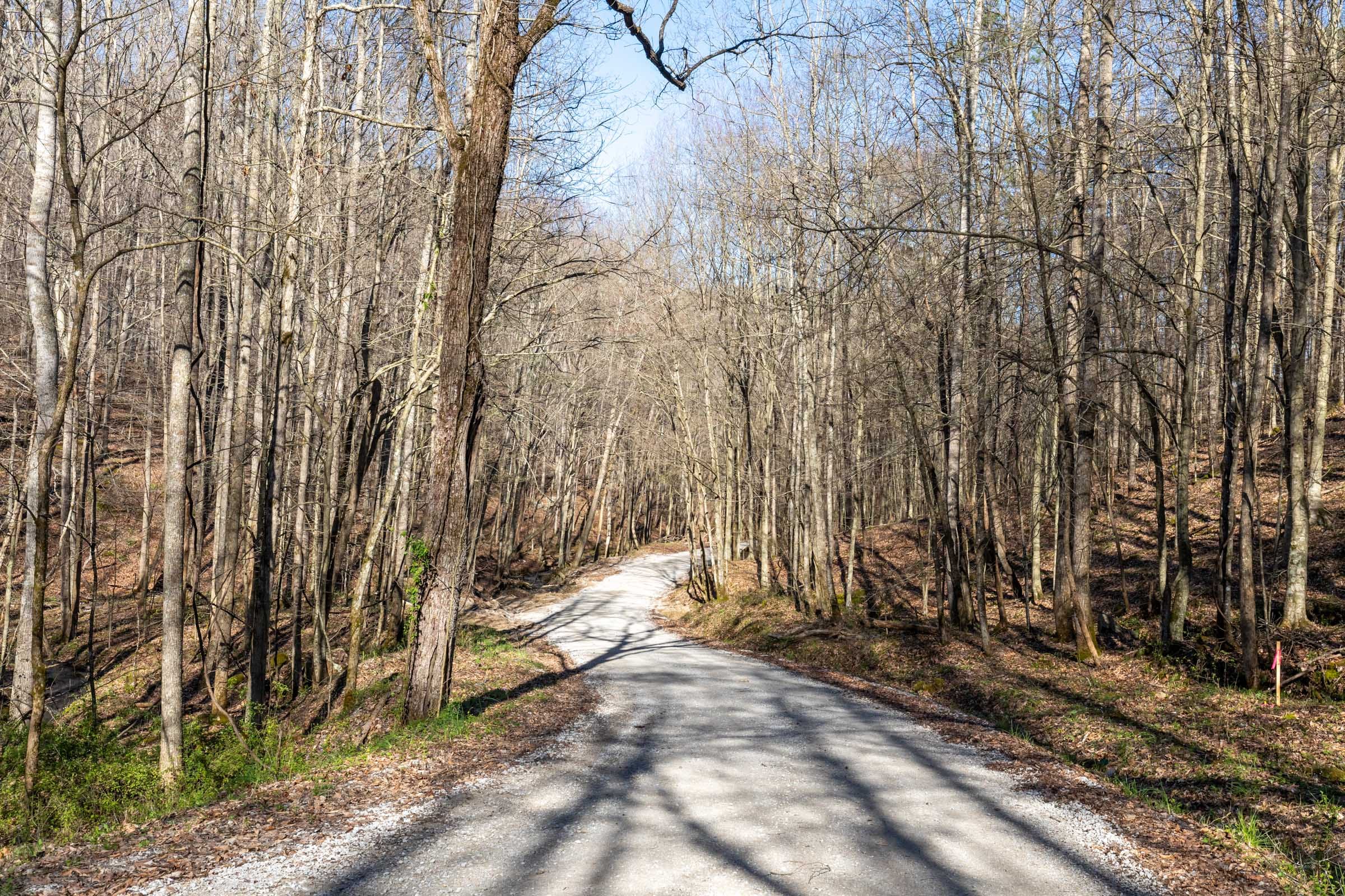 Woodland Heights Tract 17 photo 1