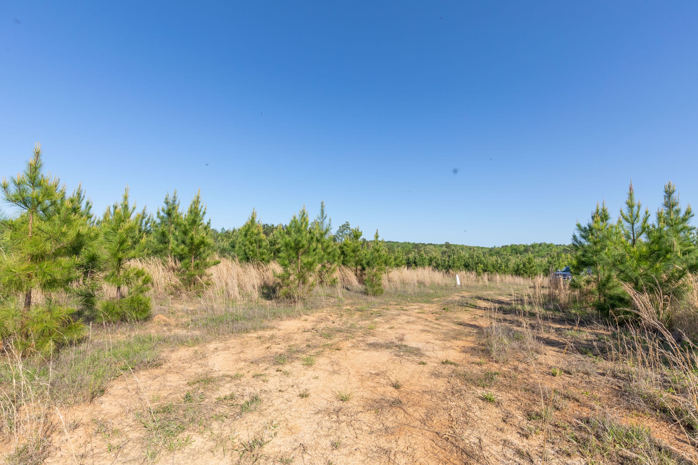 Clear Wood Tract 32 photo 1