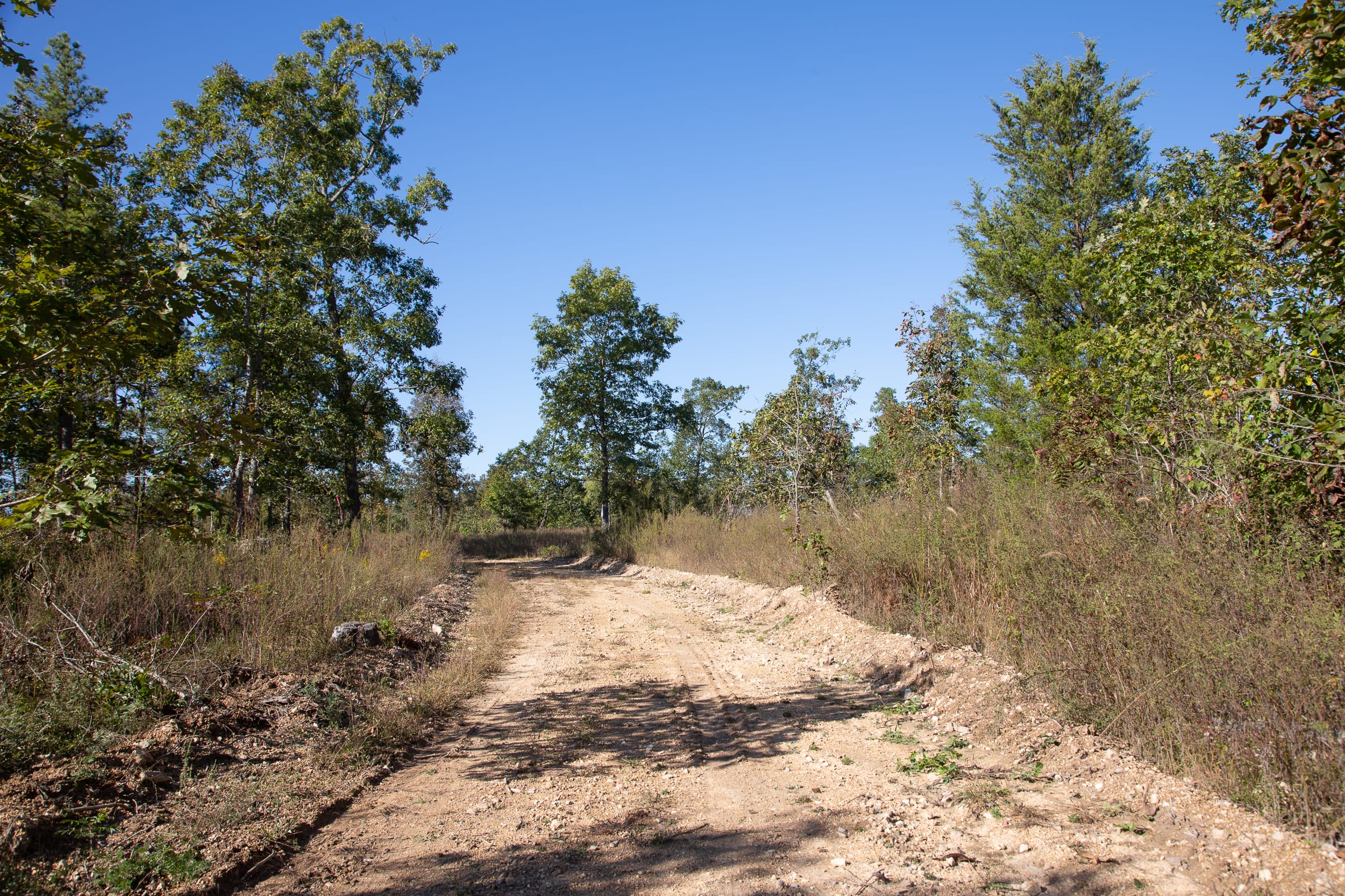 Borgmann’s Hollow Phase IV Tract 112 photo 1