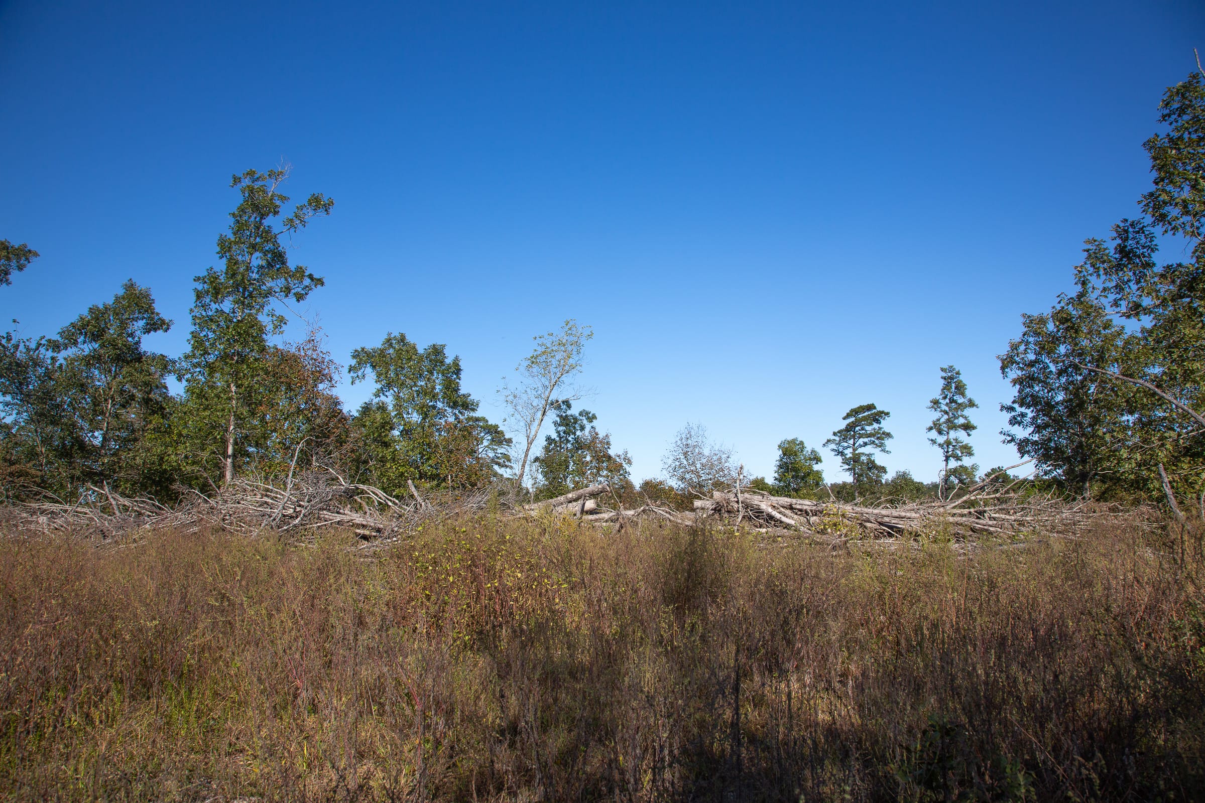 Borgmann’s Hollow Phase IV Tract 112 photo 3
