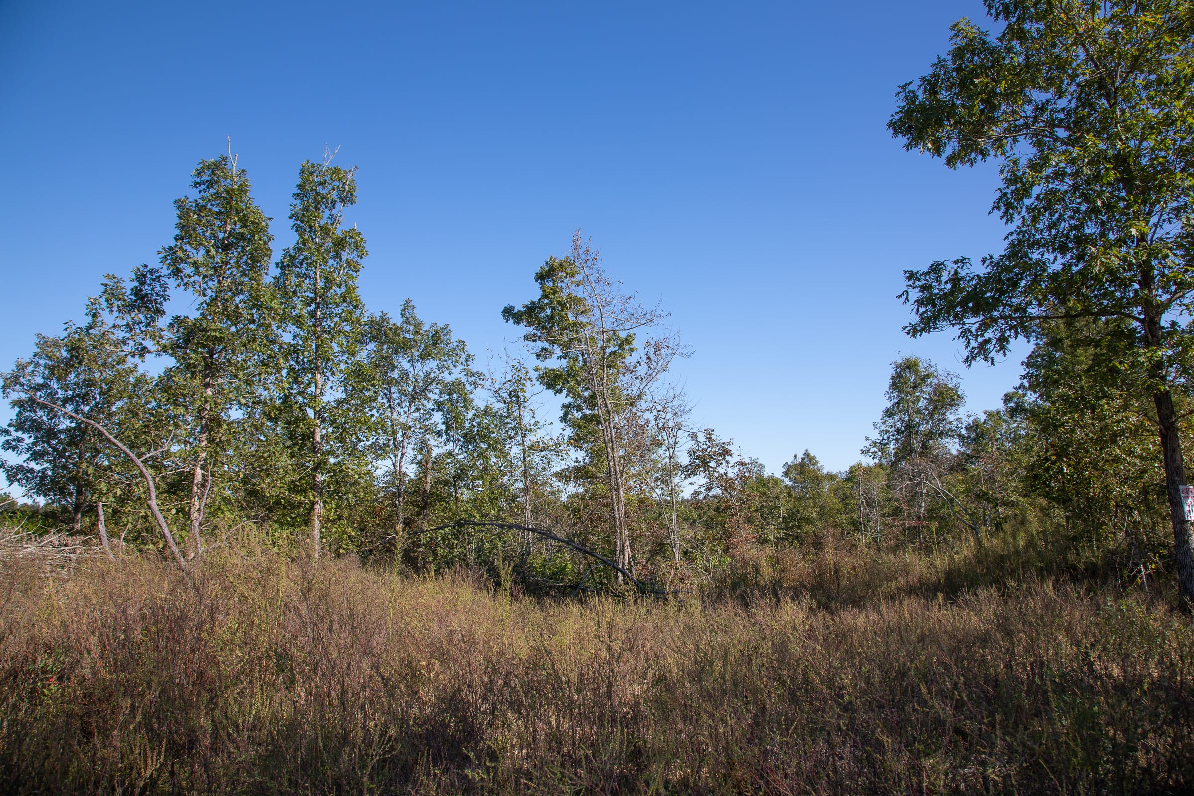 Borgmann’s Hollow Phase IV Tract 112 photo 4