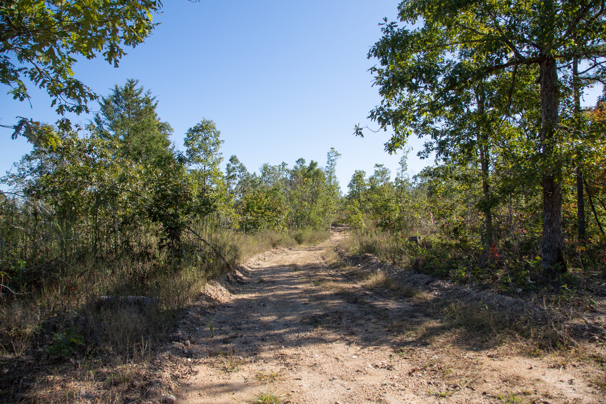 Borgmann’s Hollow Phase IV Tract 112 photo 5