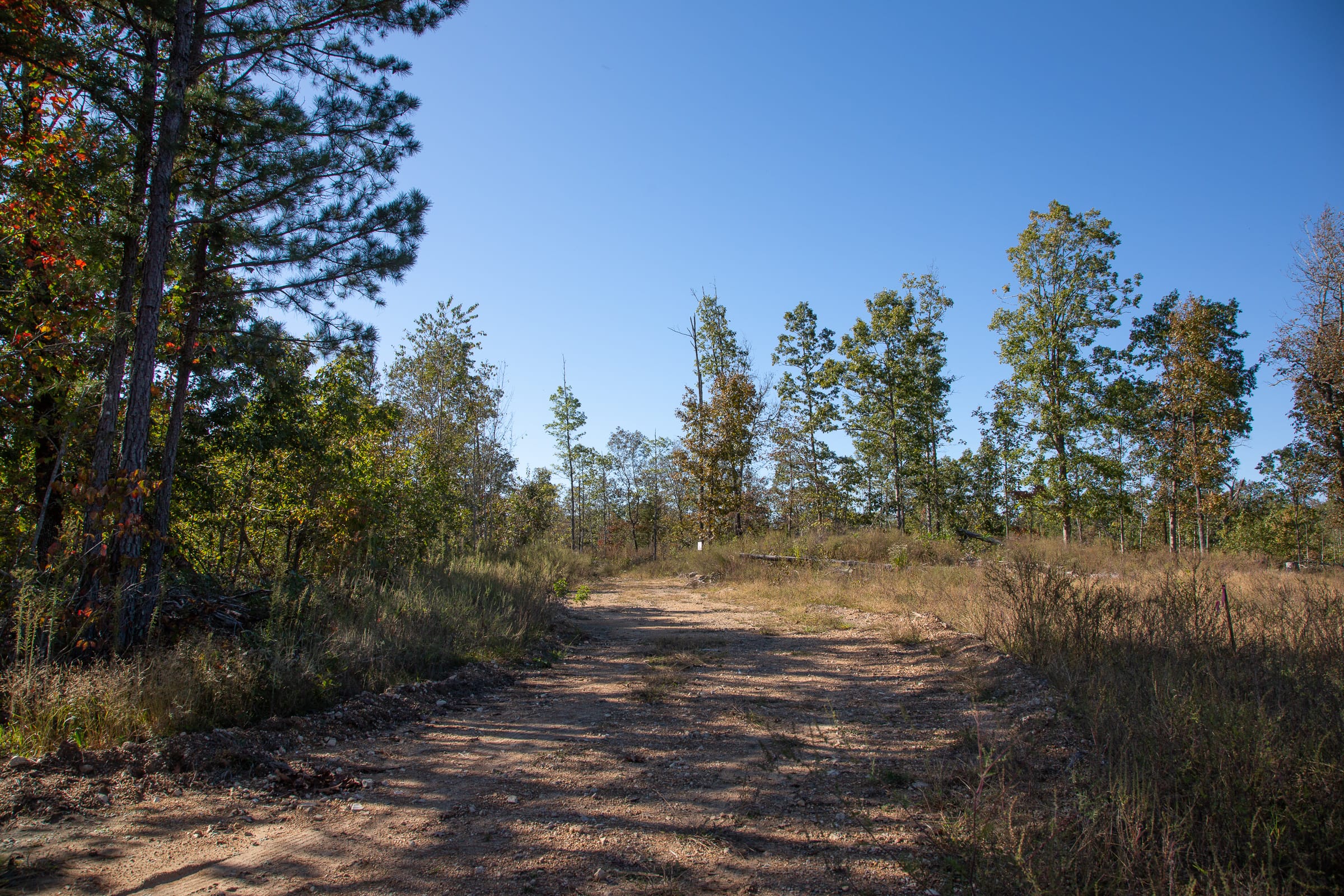 Borgmann’s Hollow Phase IV Tract 112 photo 8