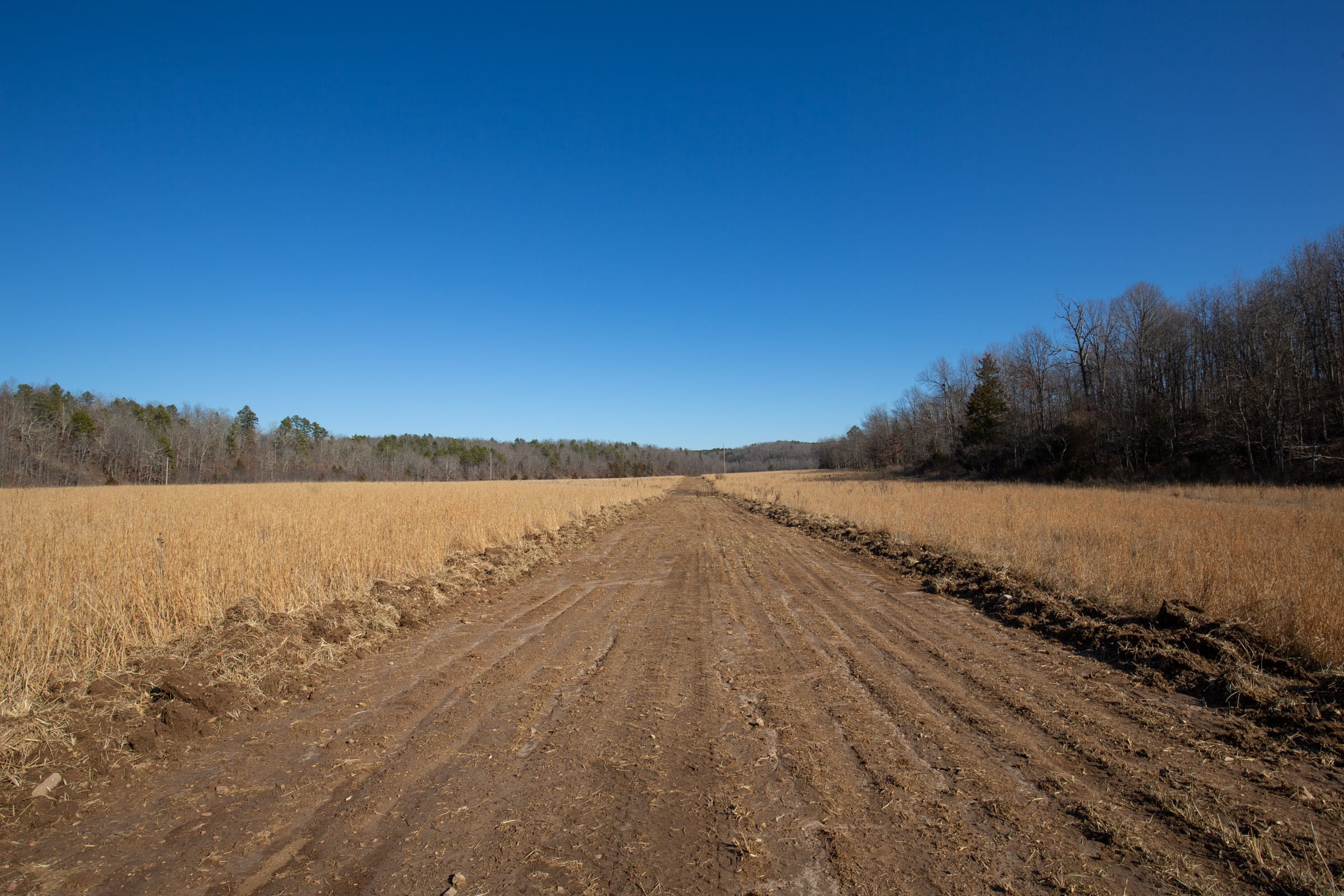 O’Connor Crossing Tract 2 photo 1