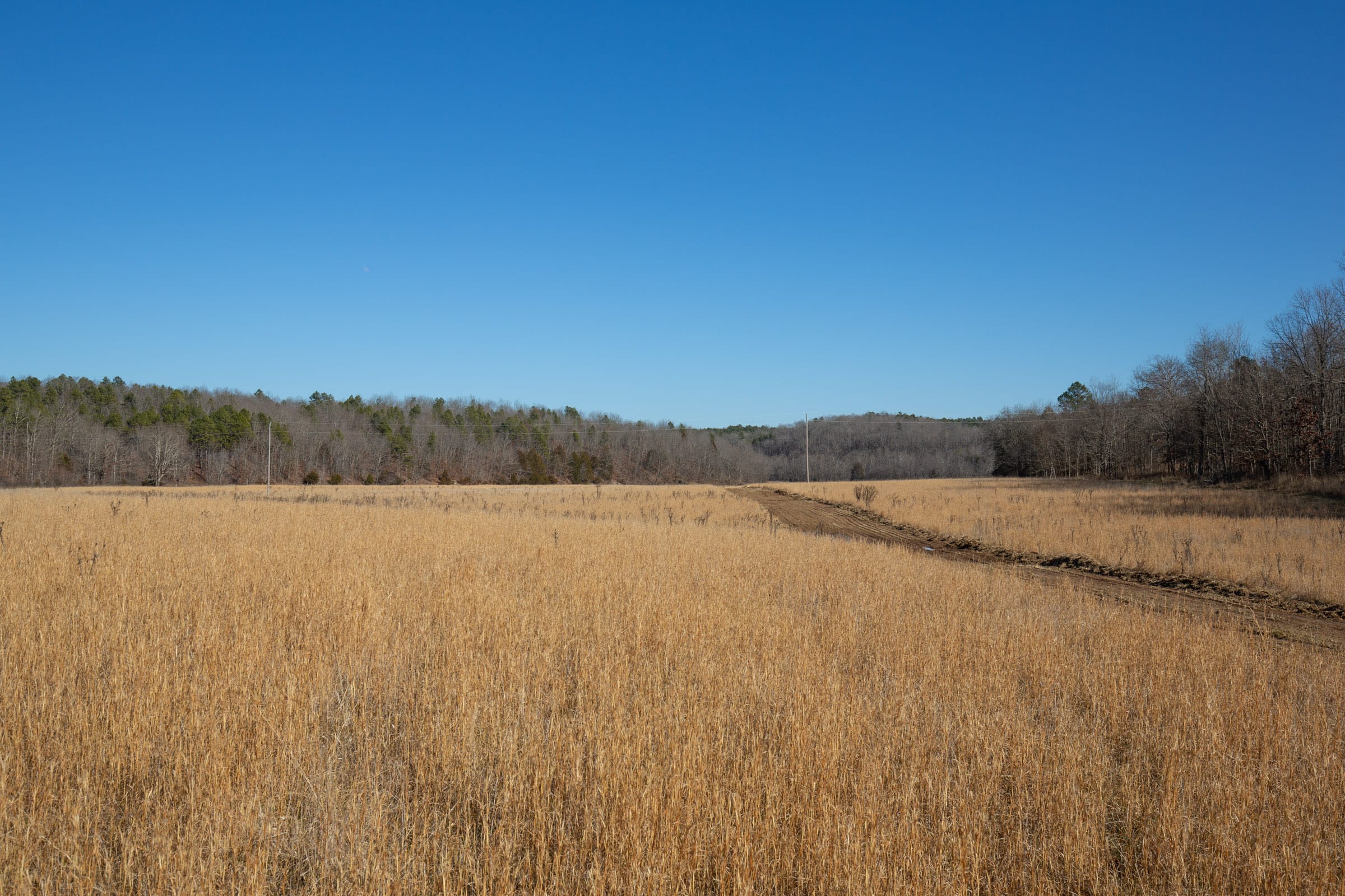 O’Connor Crossing Tract 2 photo 14