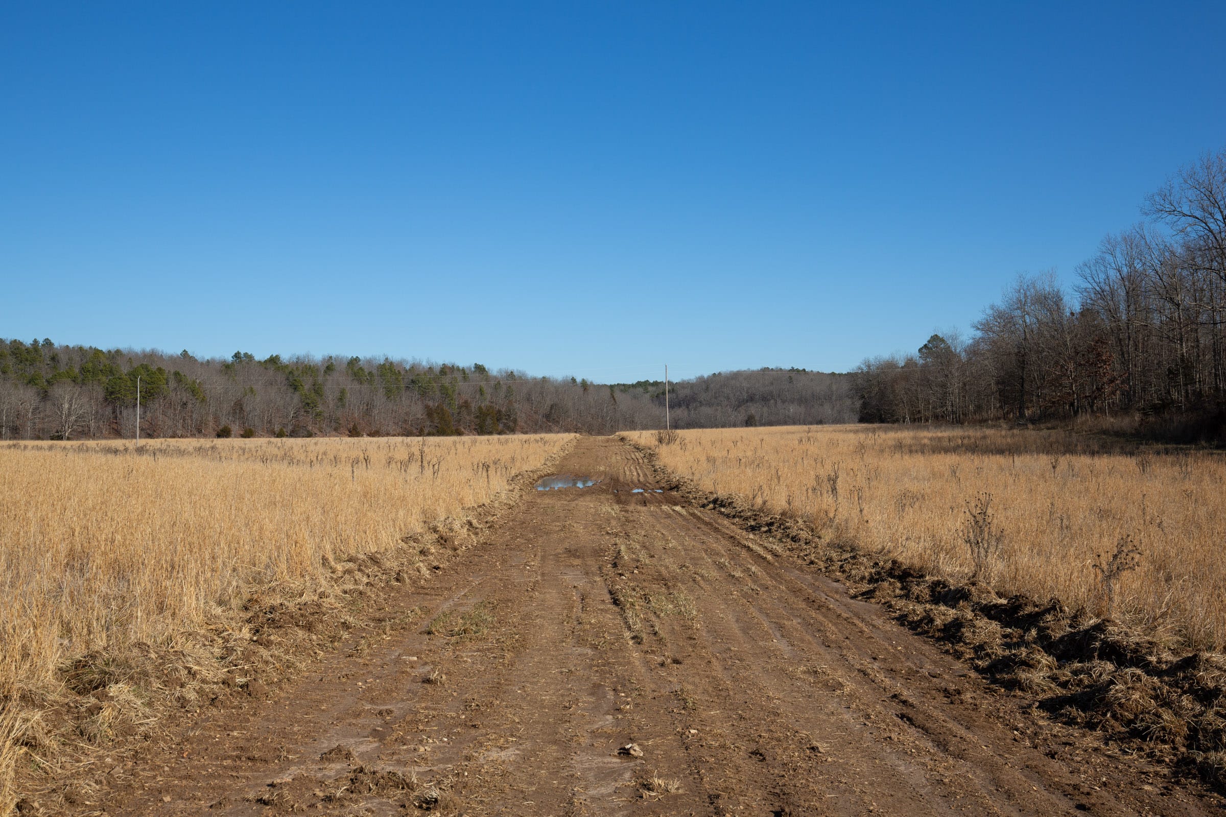 O’Connor Crossing Tract 2 photo 7