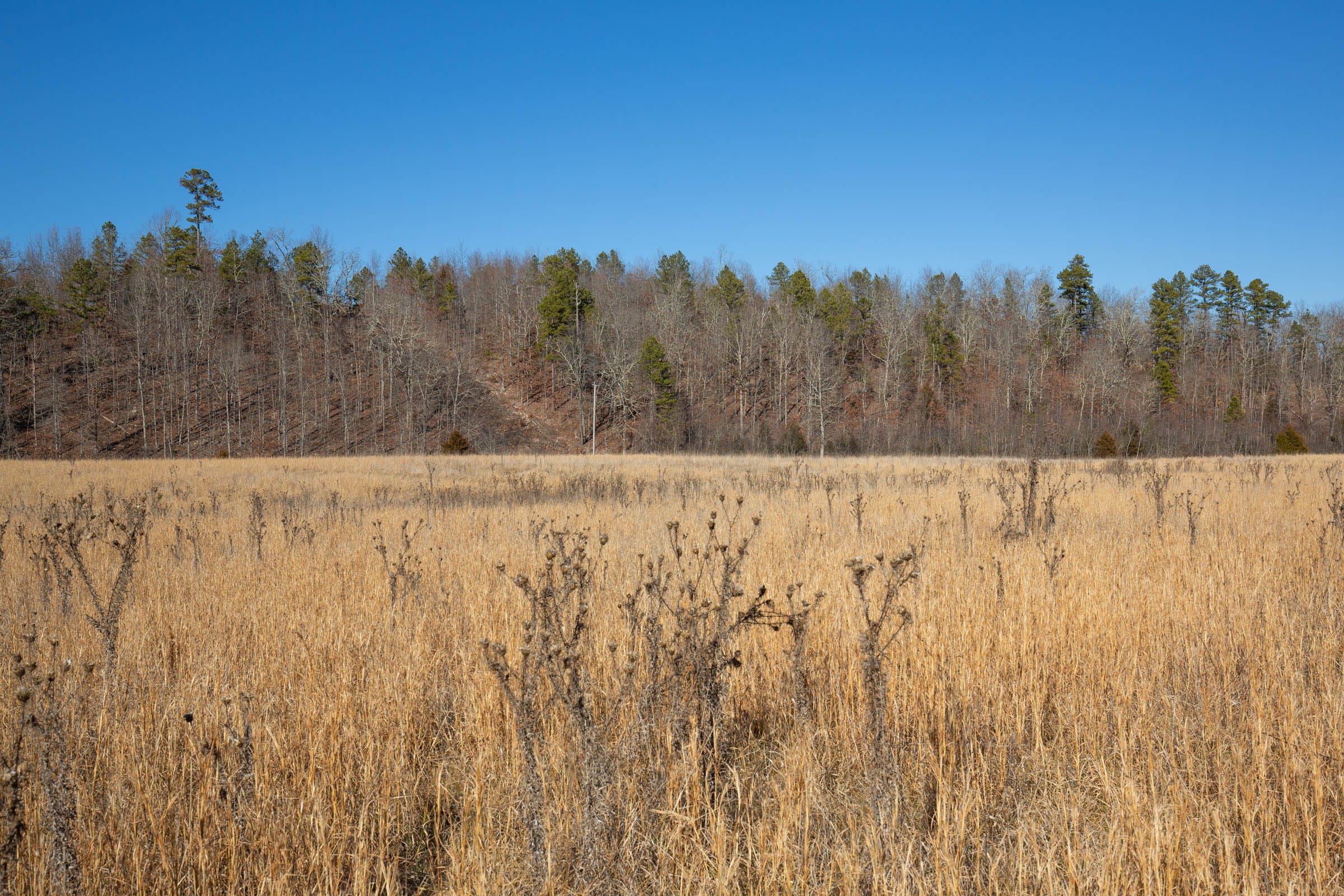 O’Connor Crossing Tract 2 photo 6