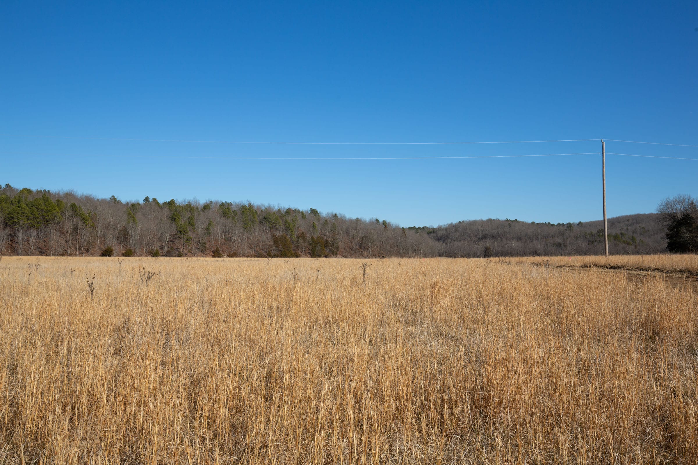 O’Connor Crossing Tract 2 photo 15