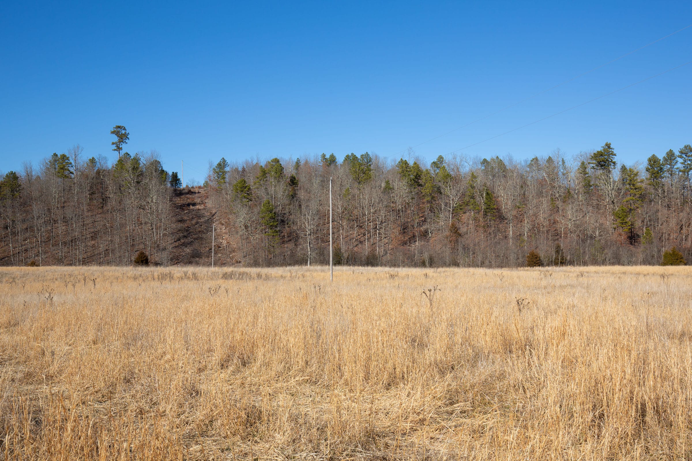O’Connor Crossing Tract 2 photo 16