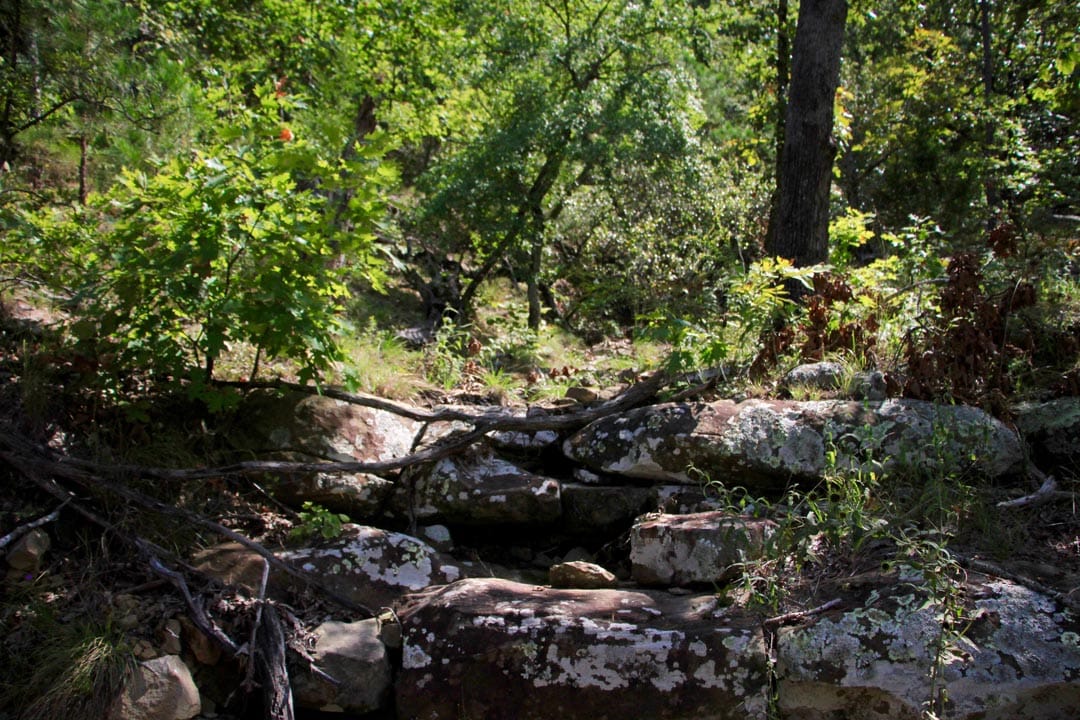 Lakeview Private Reserve Tract 19 photo 3