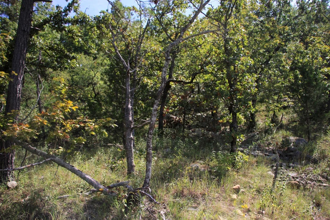 Lakeview Private Reserve Tract 19 photo 5