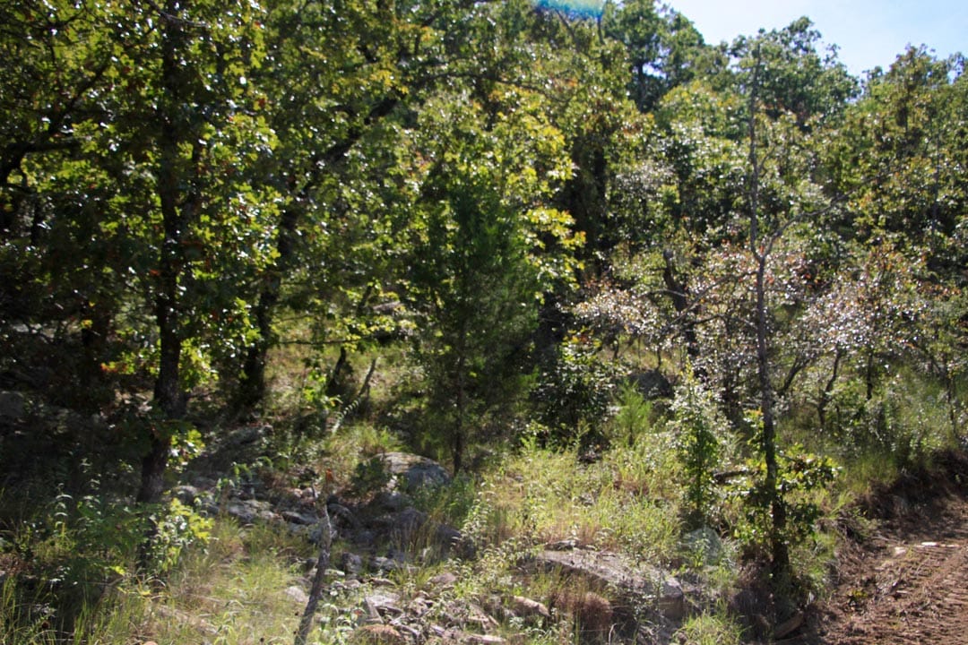 Lakeview Private Reserve Tract 19 photo 6